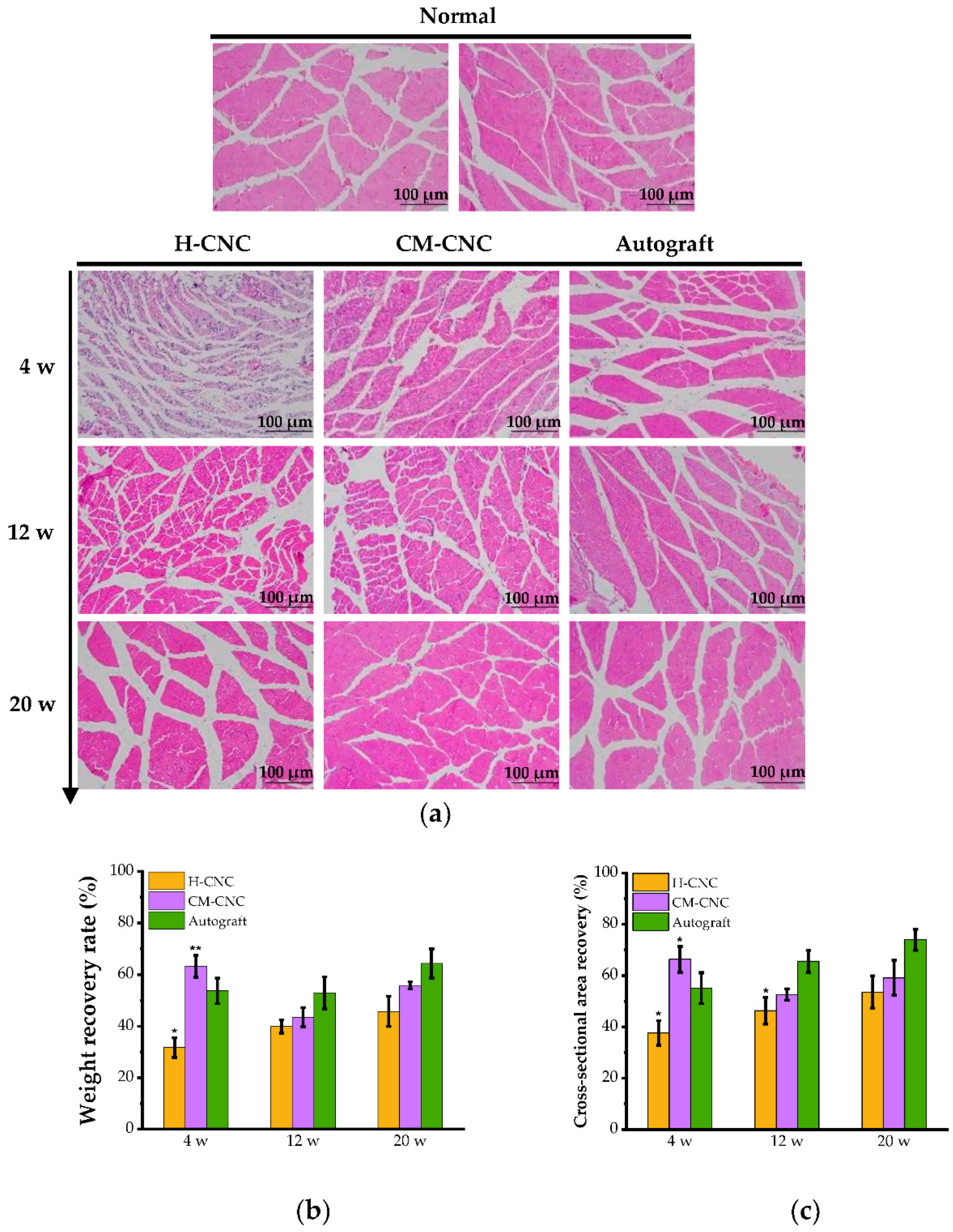 Molecules 27 09039 g008