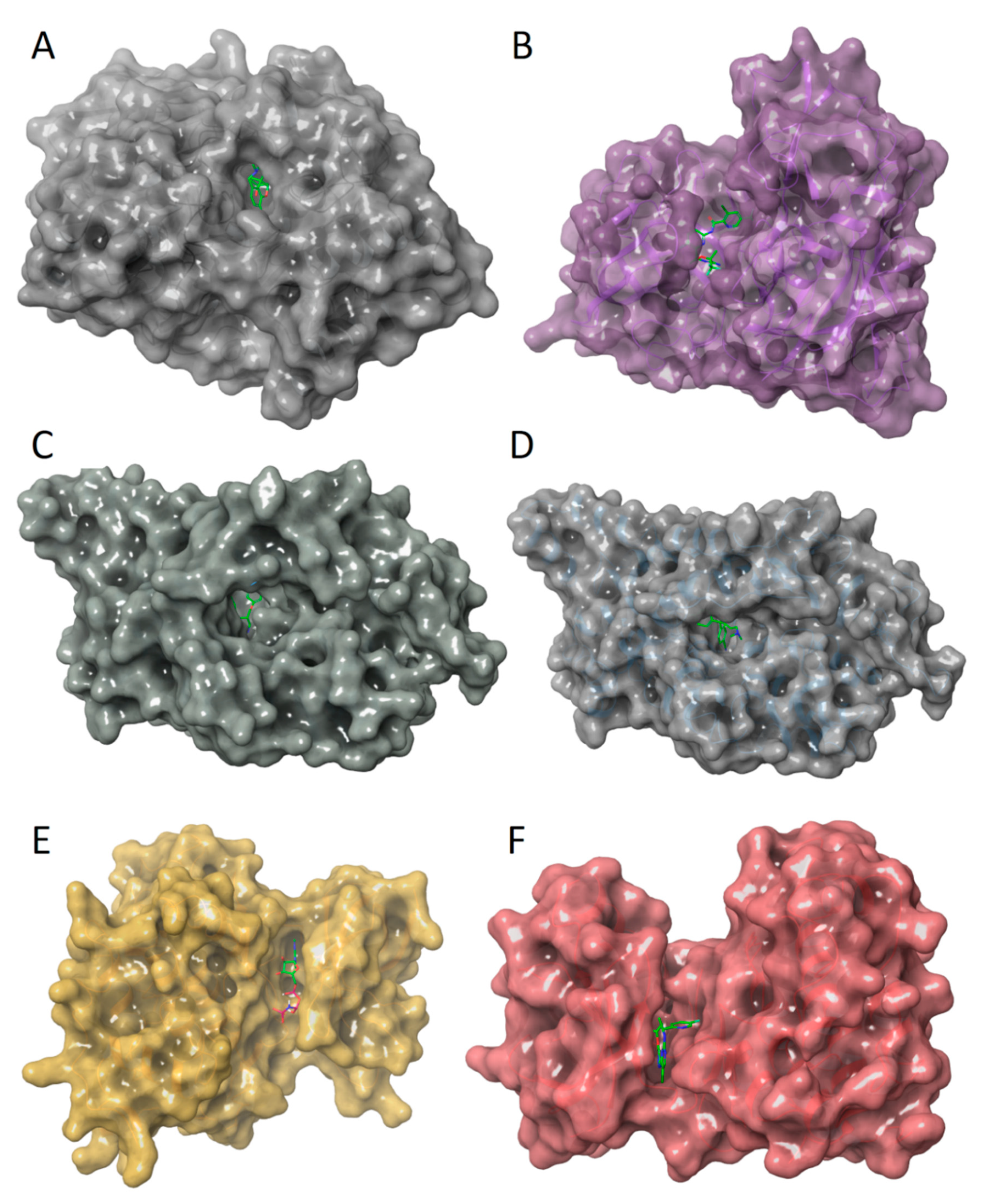Molecules 27 09041 g001 Molecules 27 09041 g001