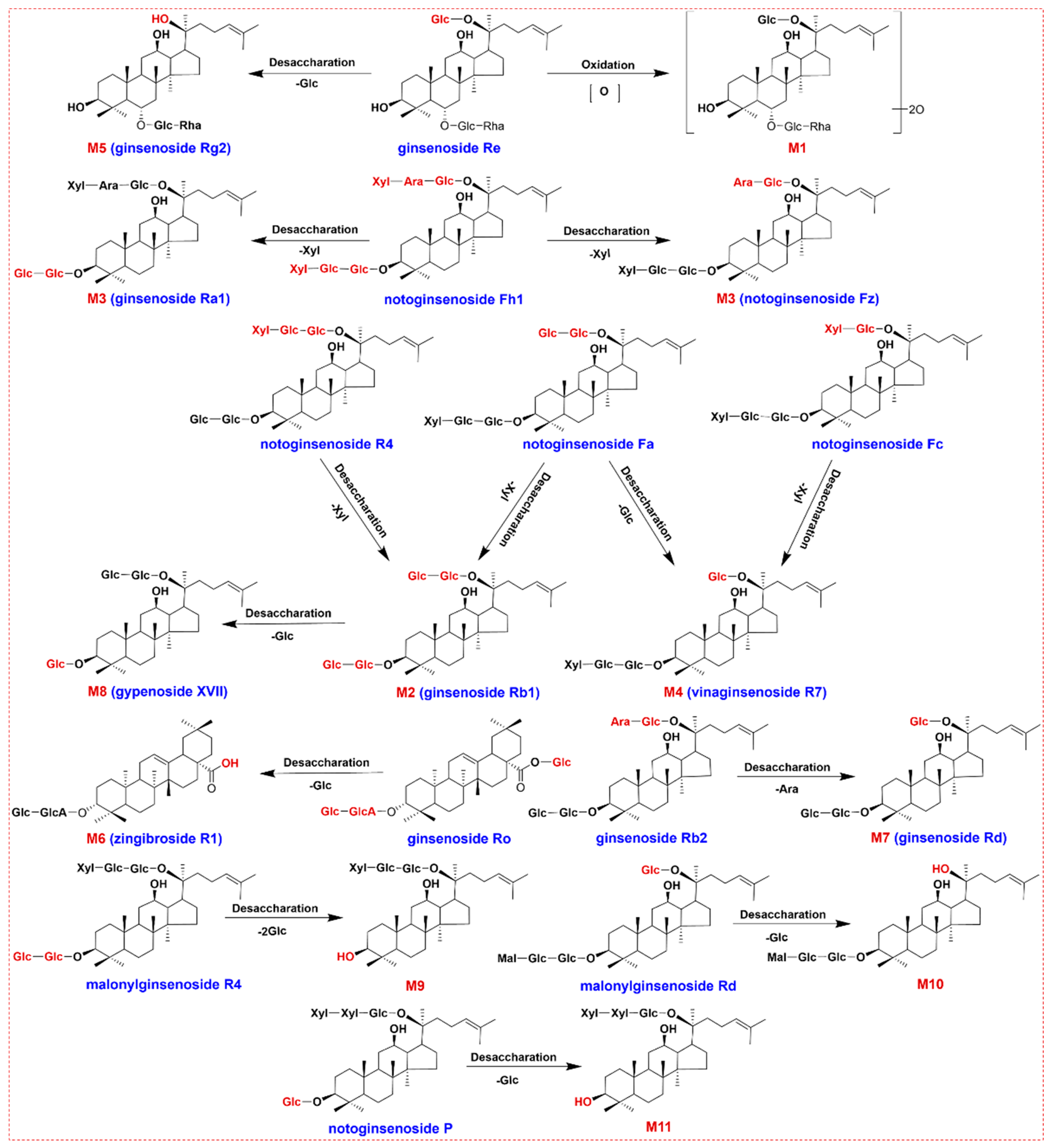Molecules 27 09049 g006
