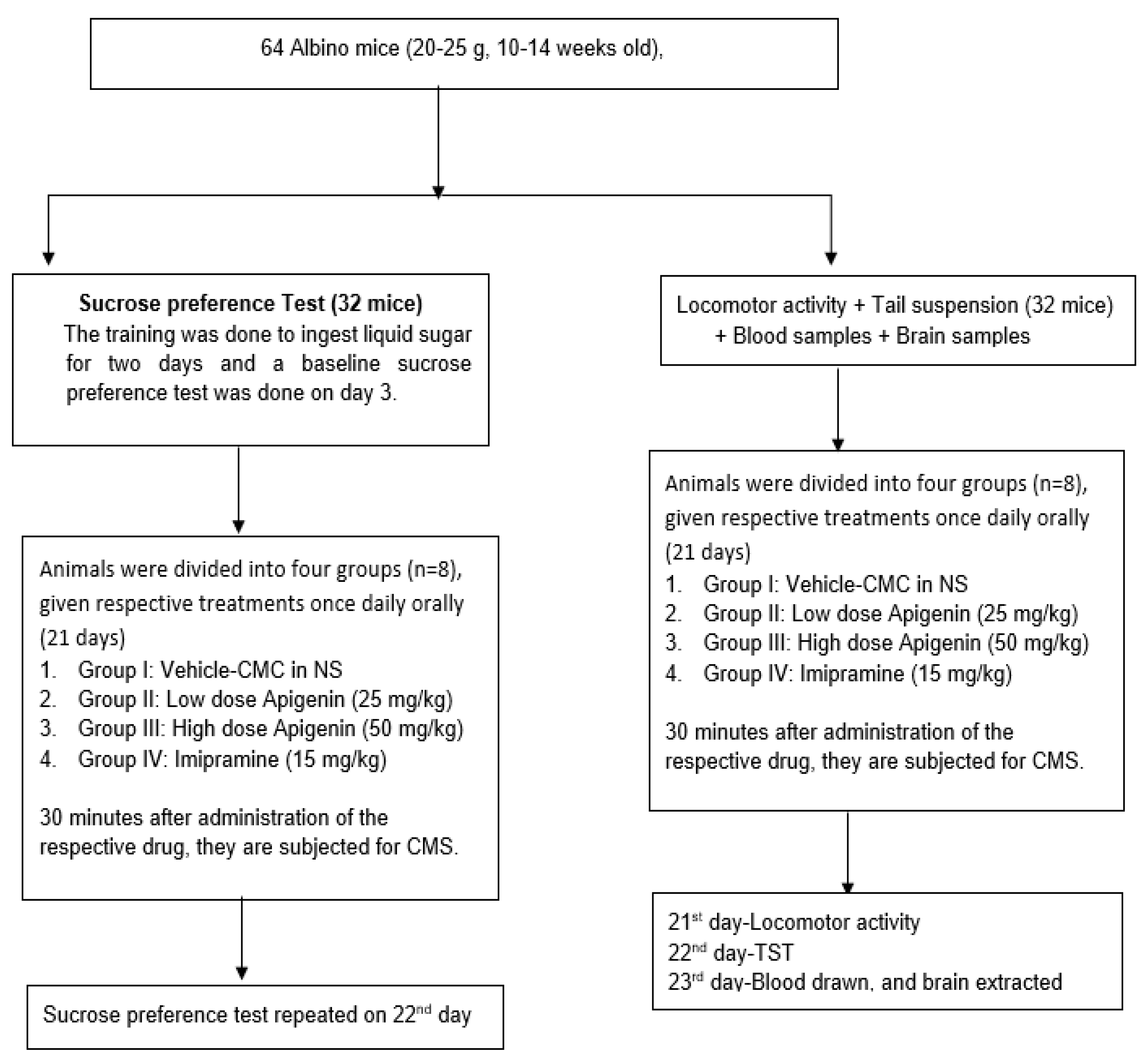 Molecules 27 09055 g008