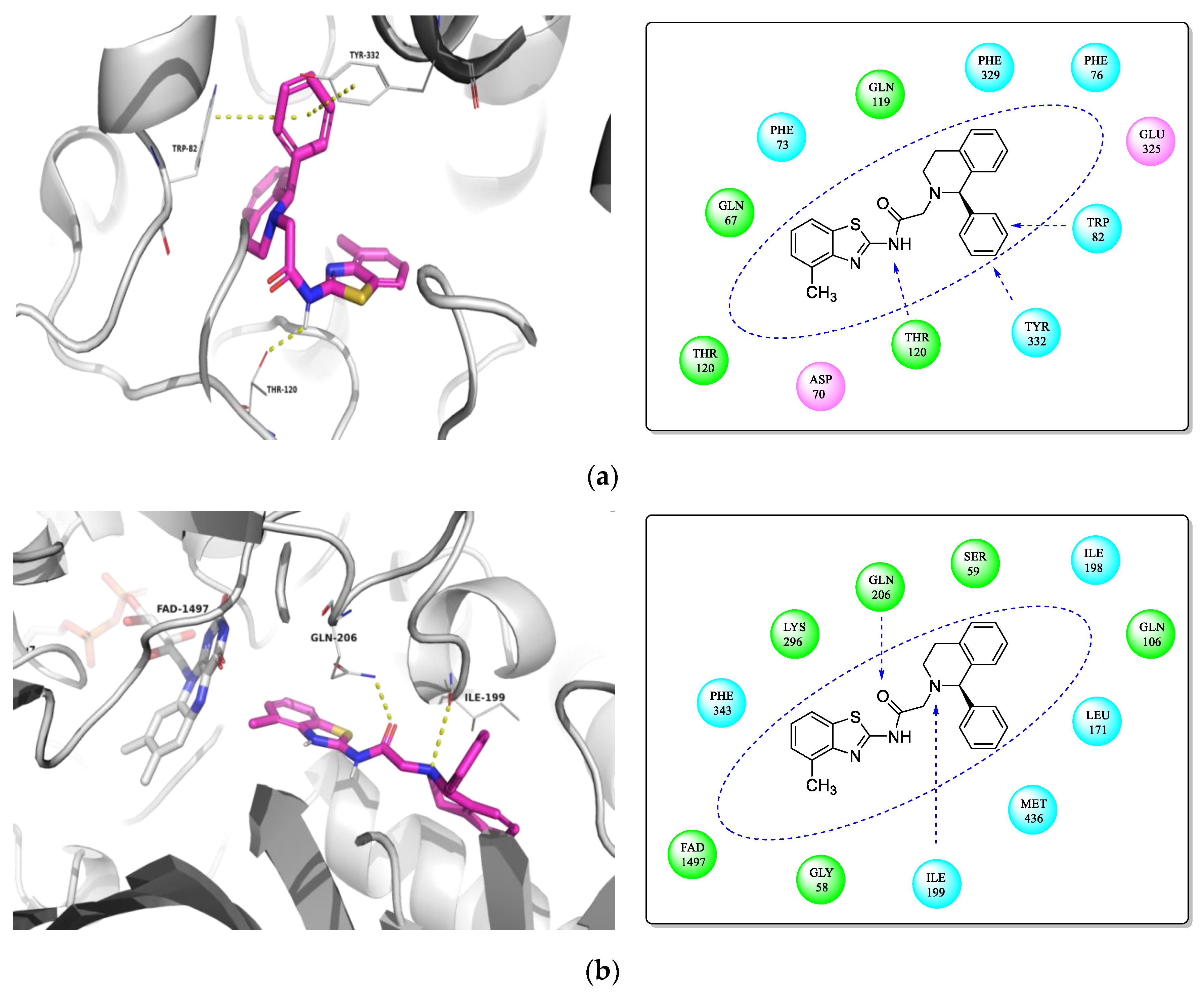 Molecules 27 09062 g003