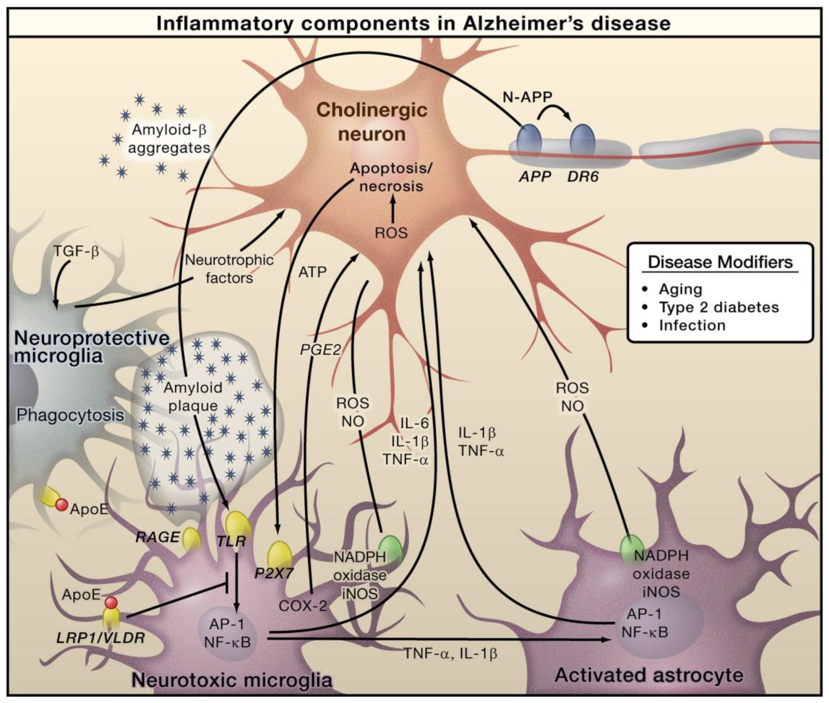 Molecules 28 00002 g001