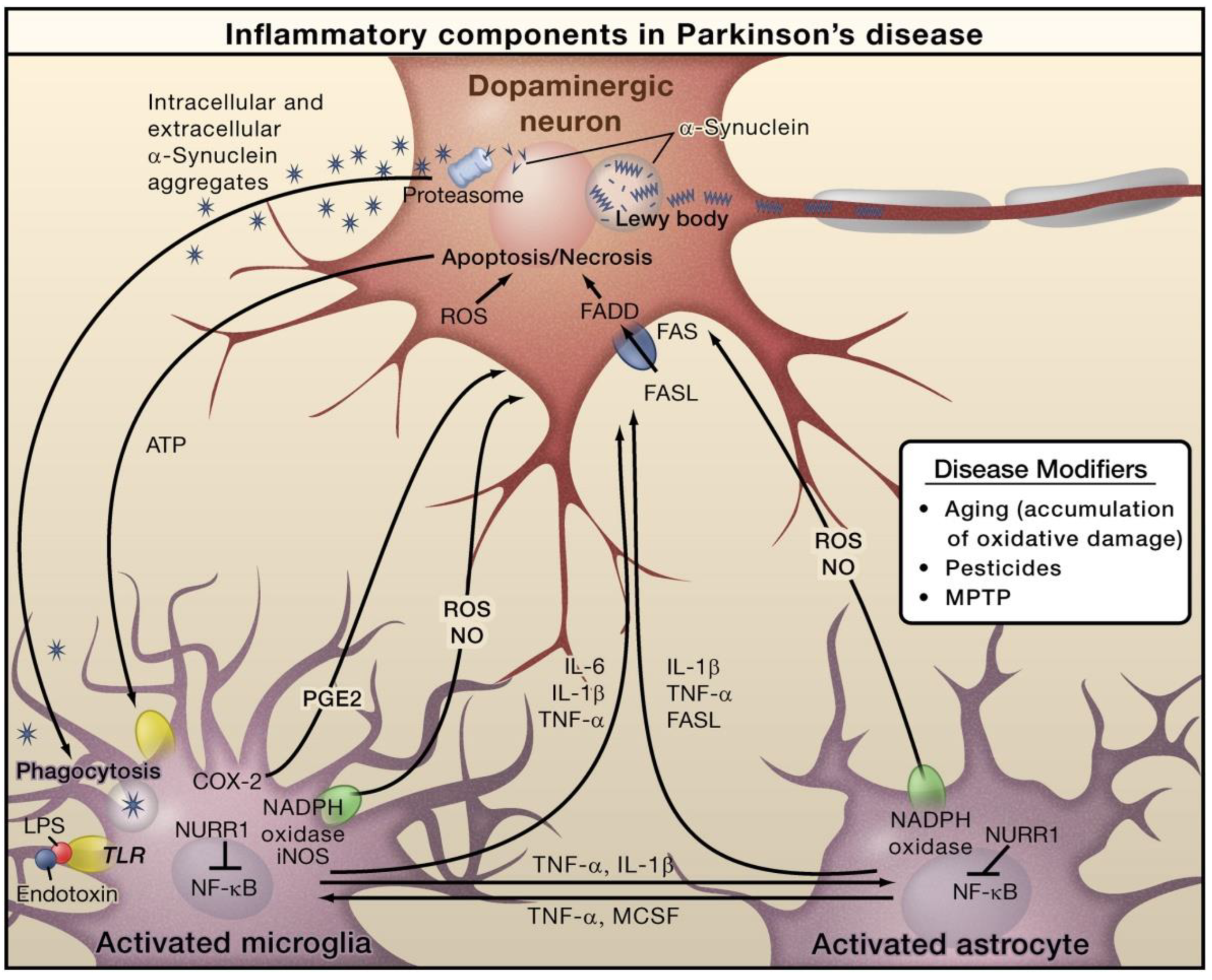 Molecules 28 00002 g003