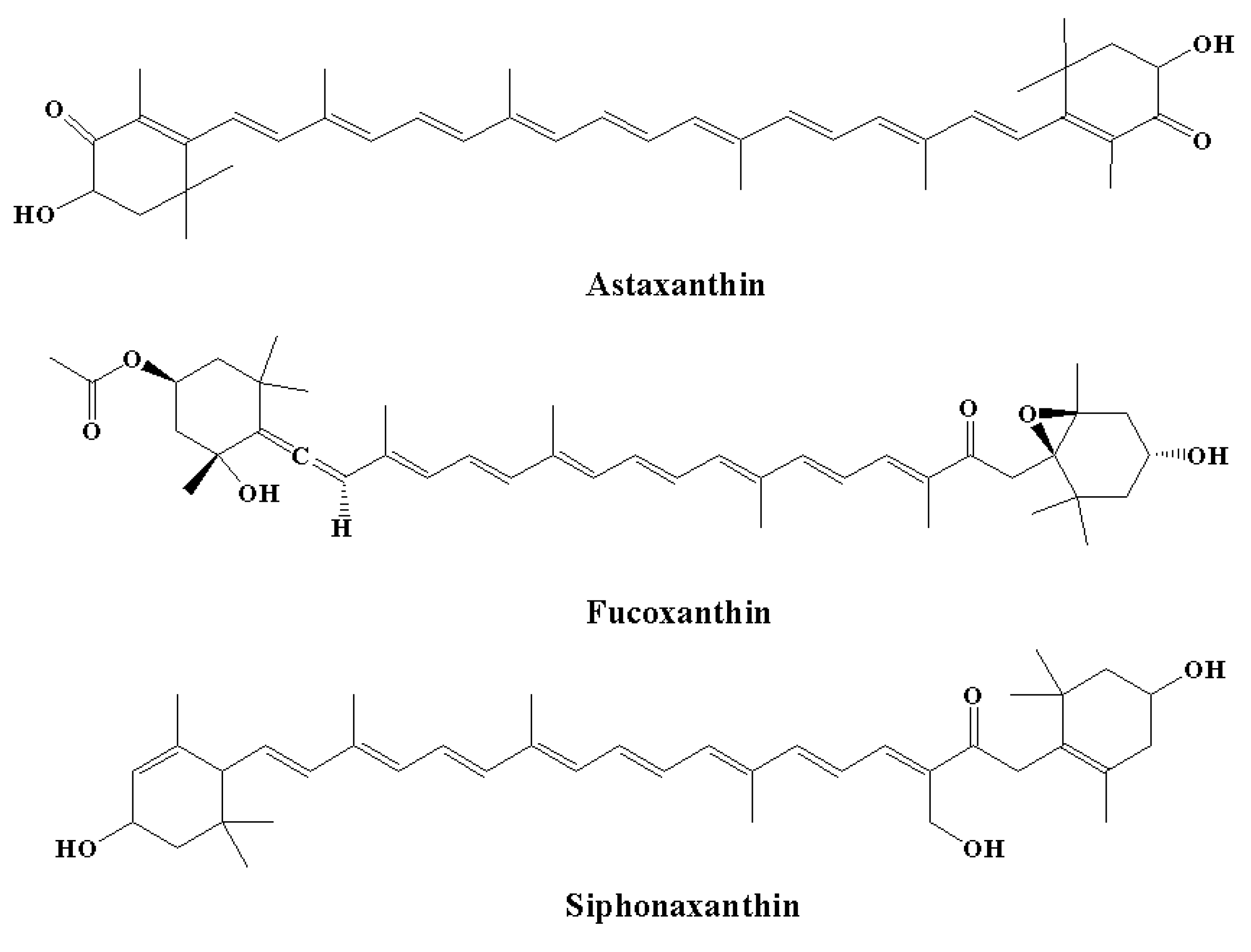 Molecules 28 00002 g006