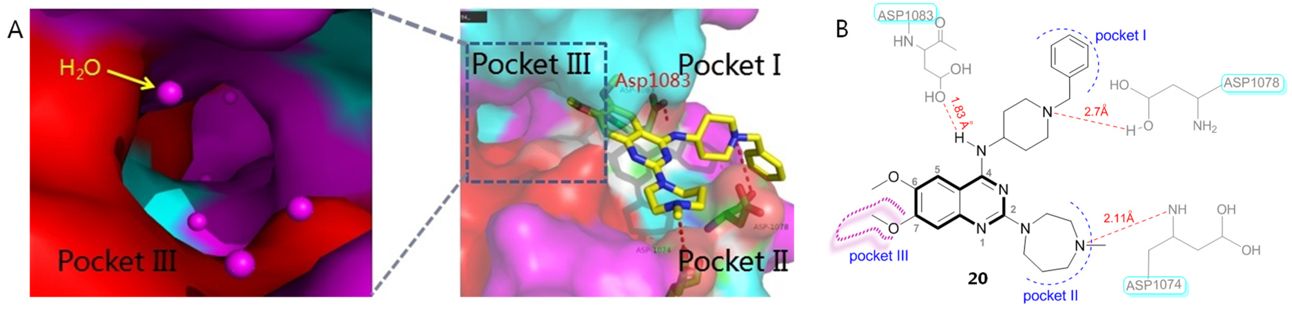 Molecules 28 00003 g006