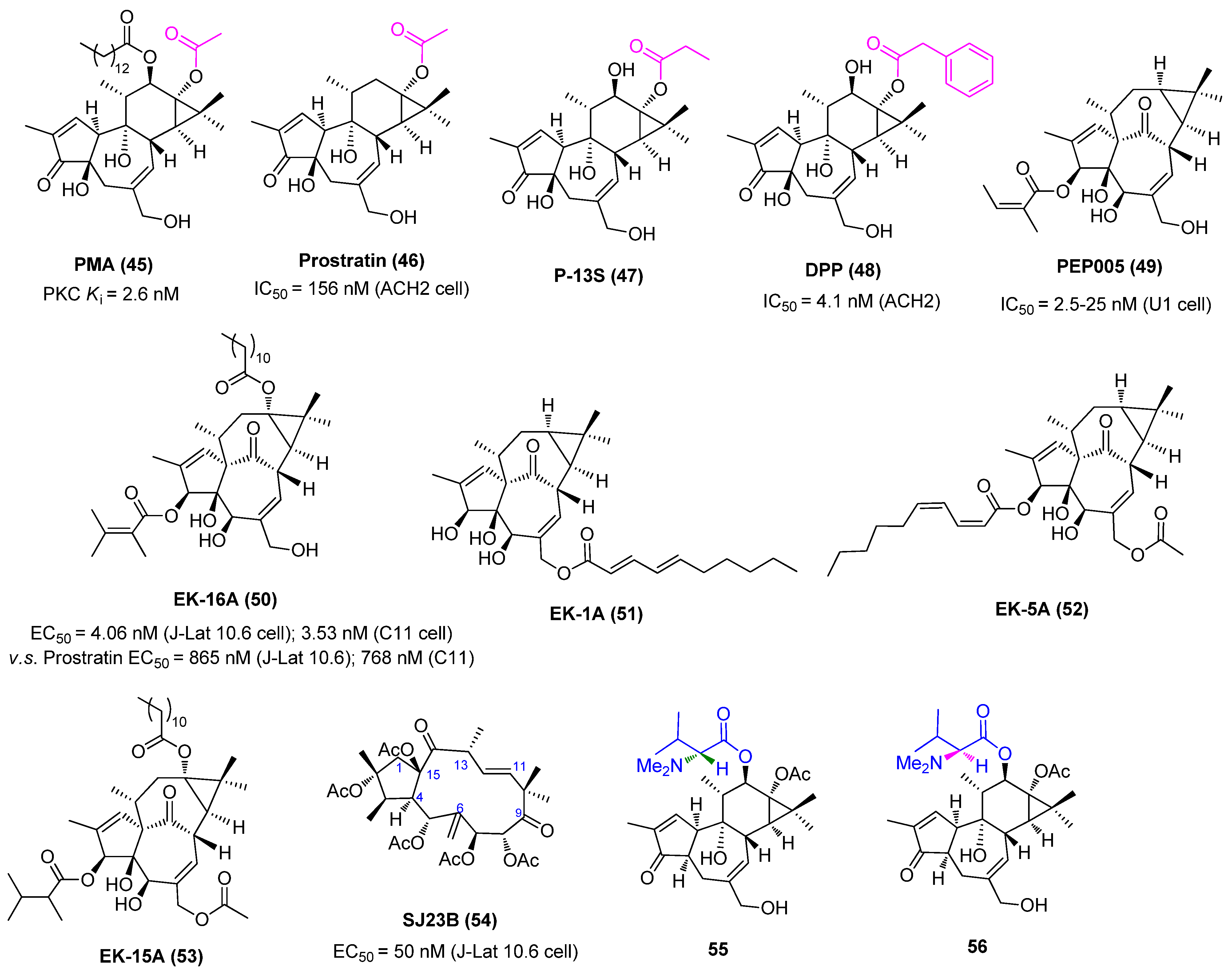 Molecules 28 00003 g011a