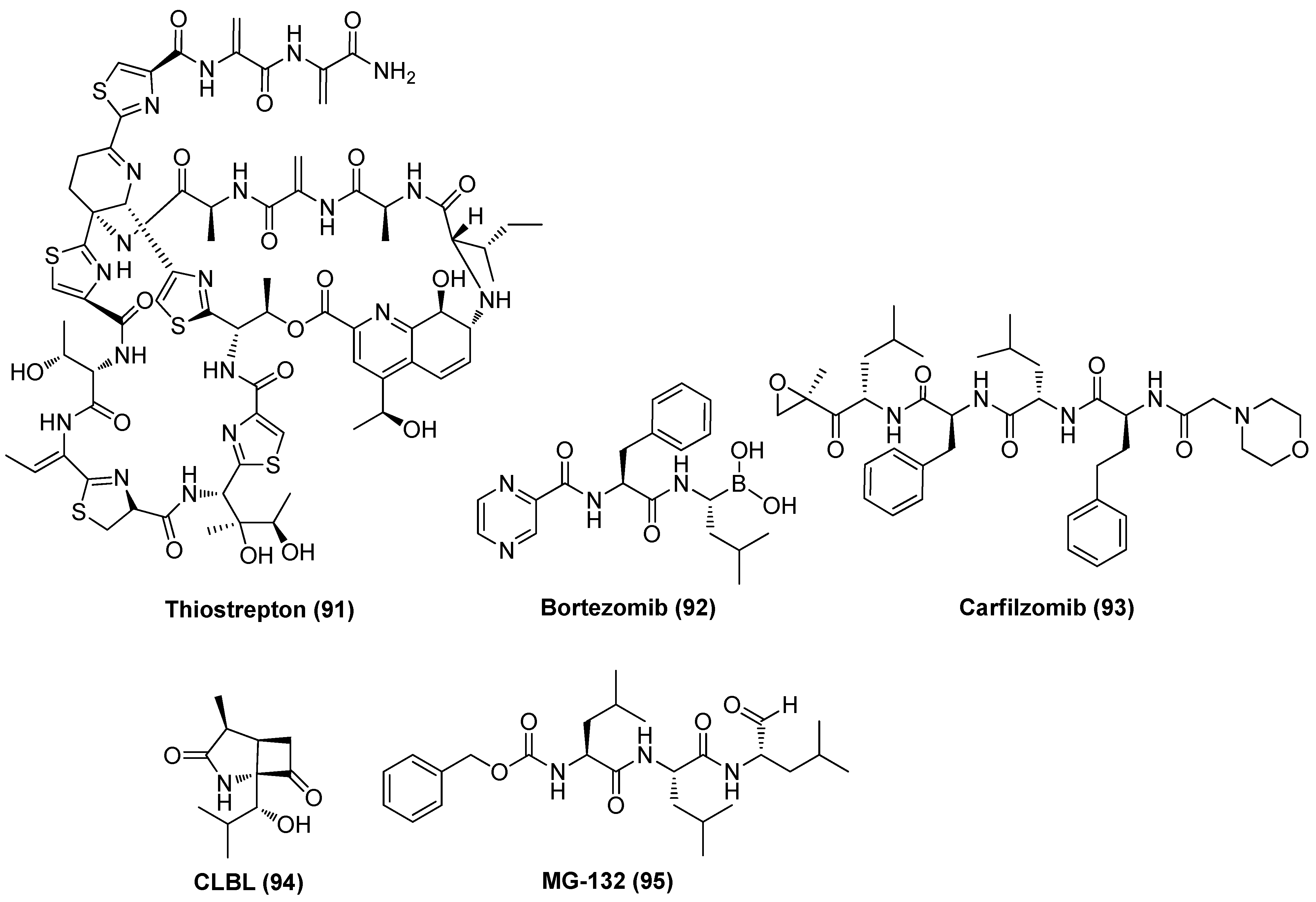Molecules 28 00003 g020