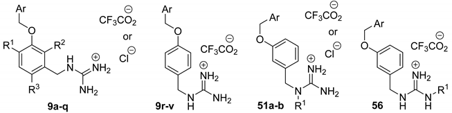 Molecules 28 00005 i001