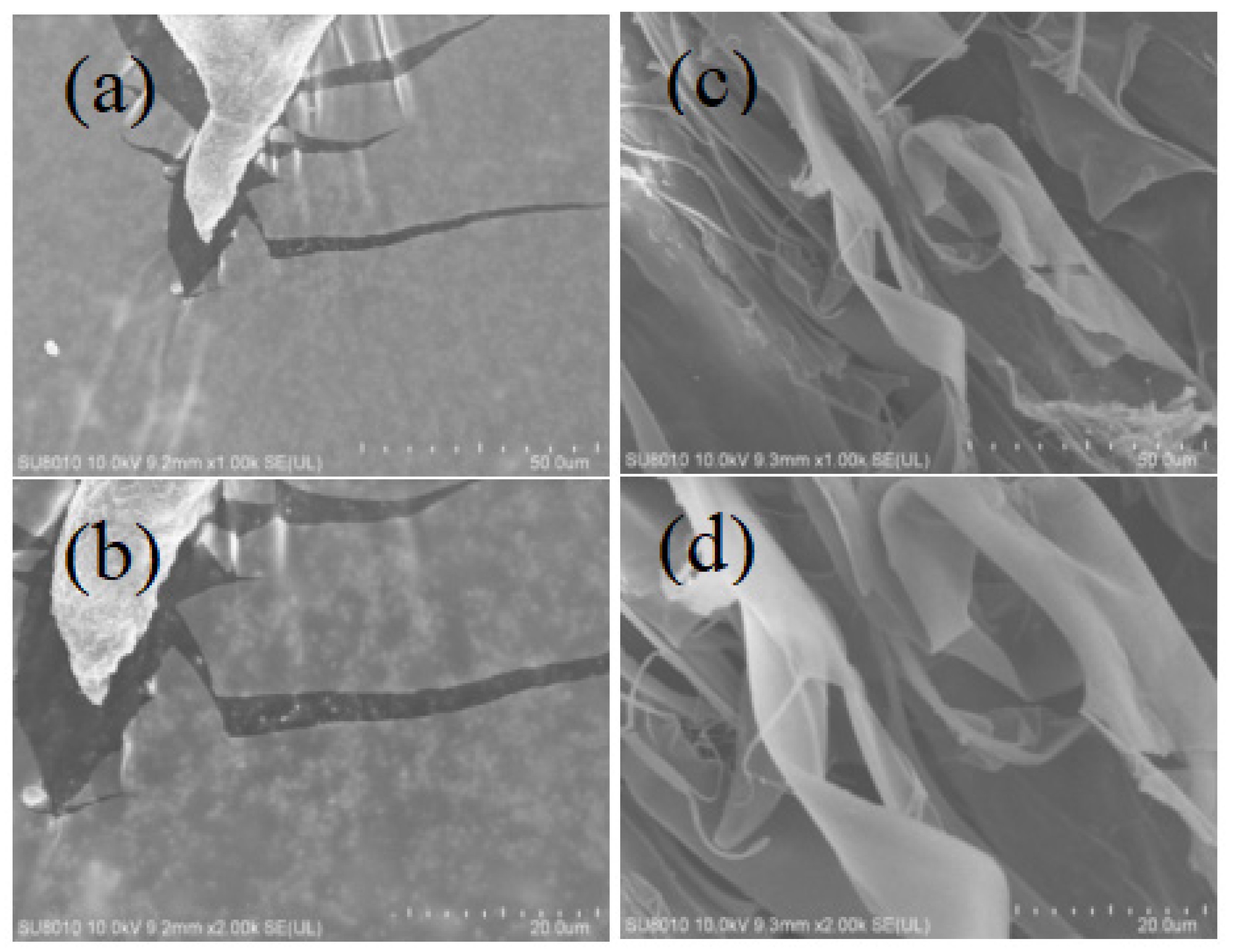 Molecules 28 00008 g001
