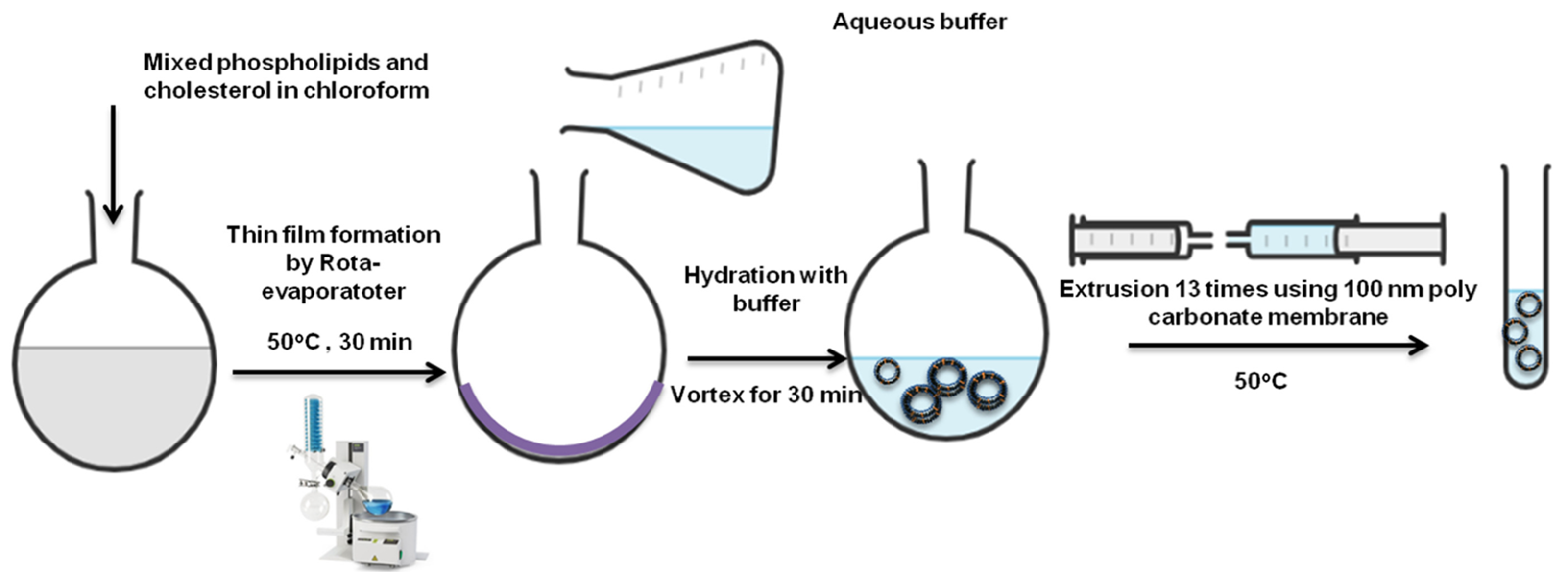 Molecules 28 00010 g003