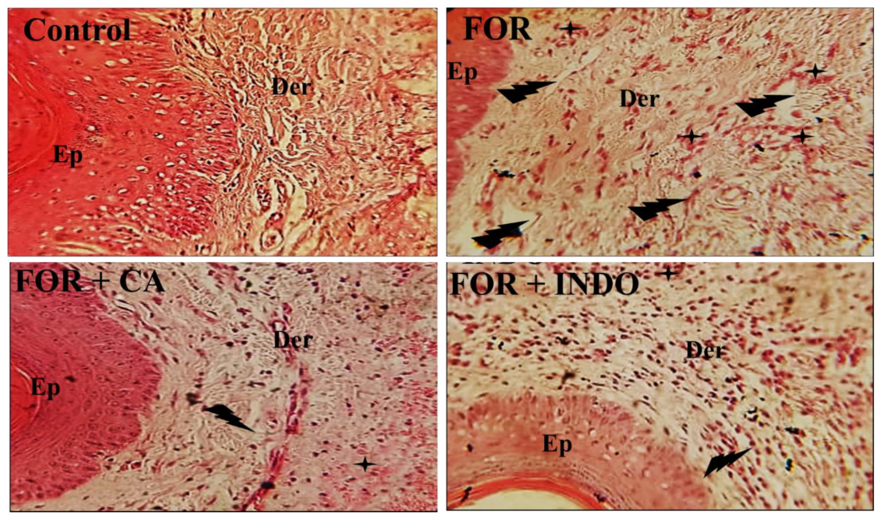 Molecules 28 00026 g004