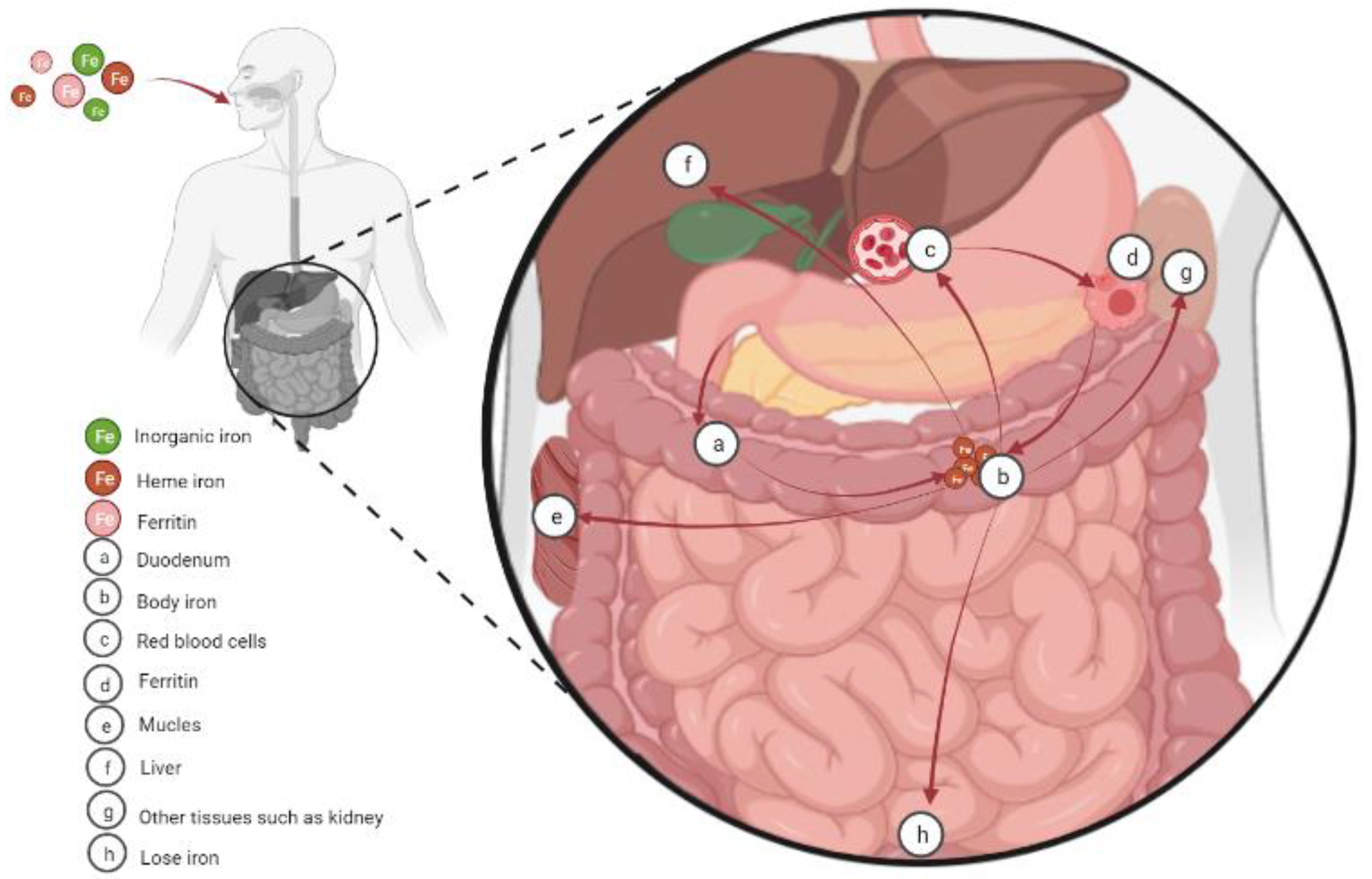 Molecules 28 00029 g001 Molecules 28 00029 g001
