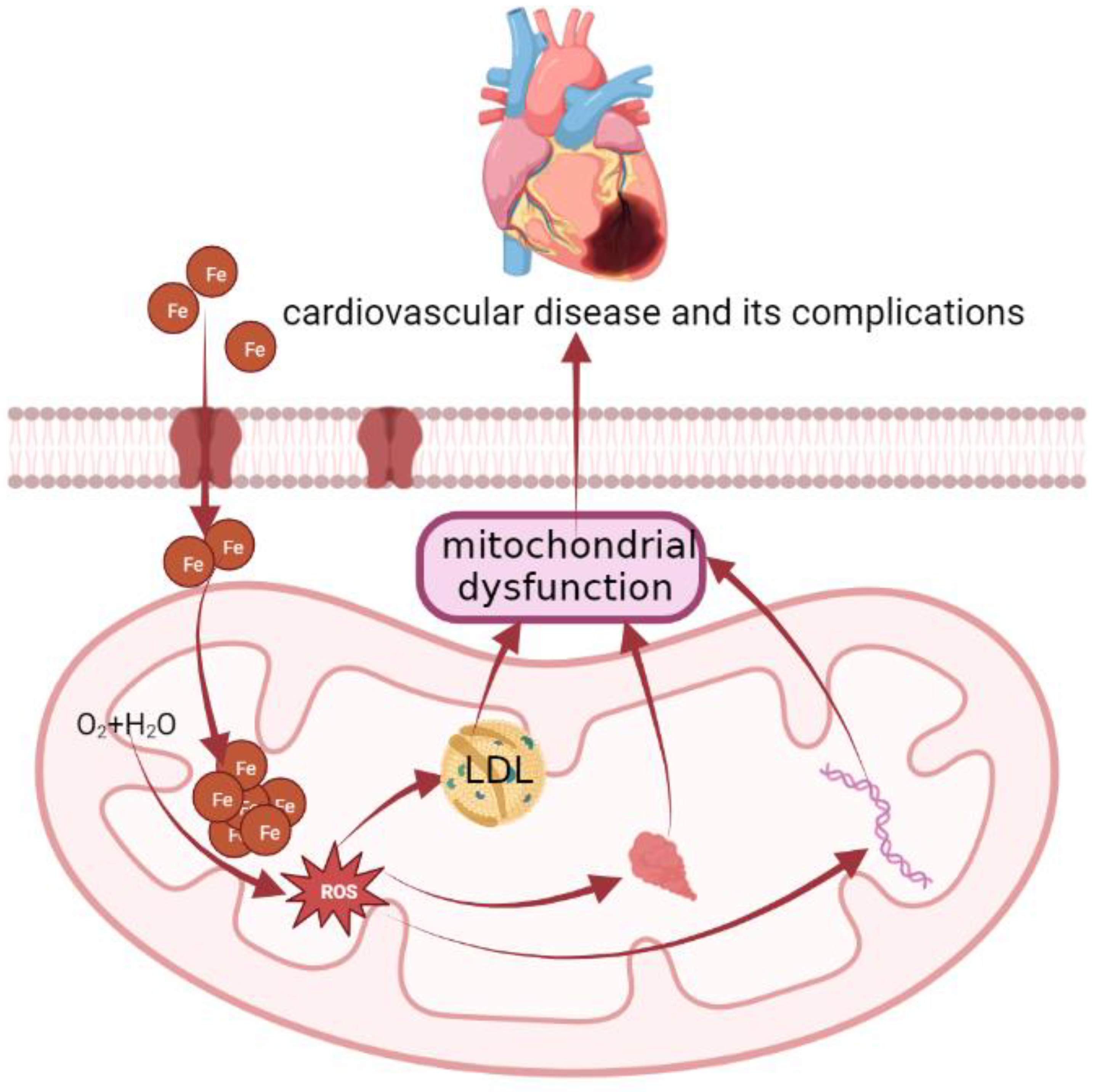 Molecules 28 00029 g002 Molecules 28 00029 g002