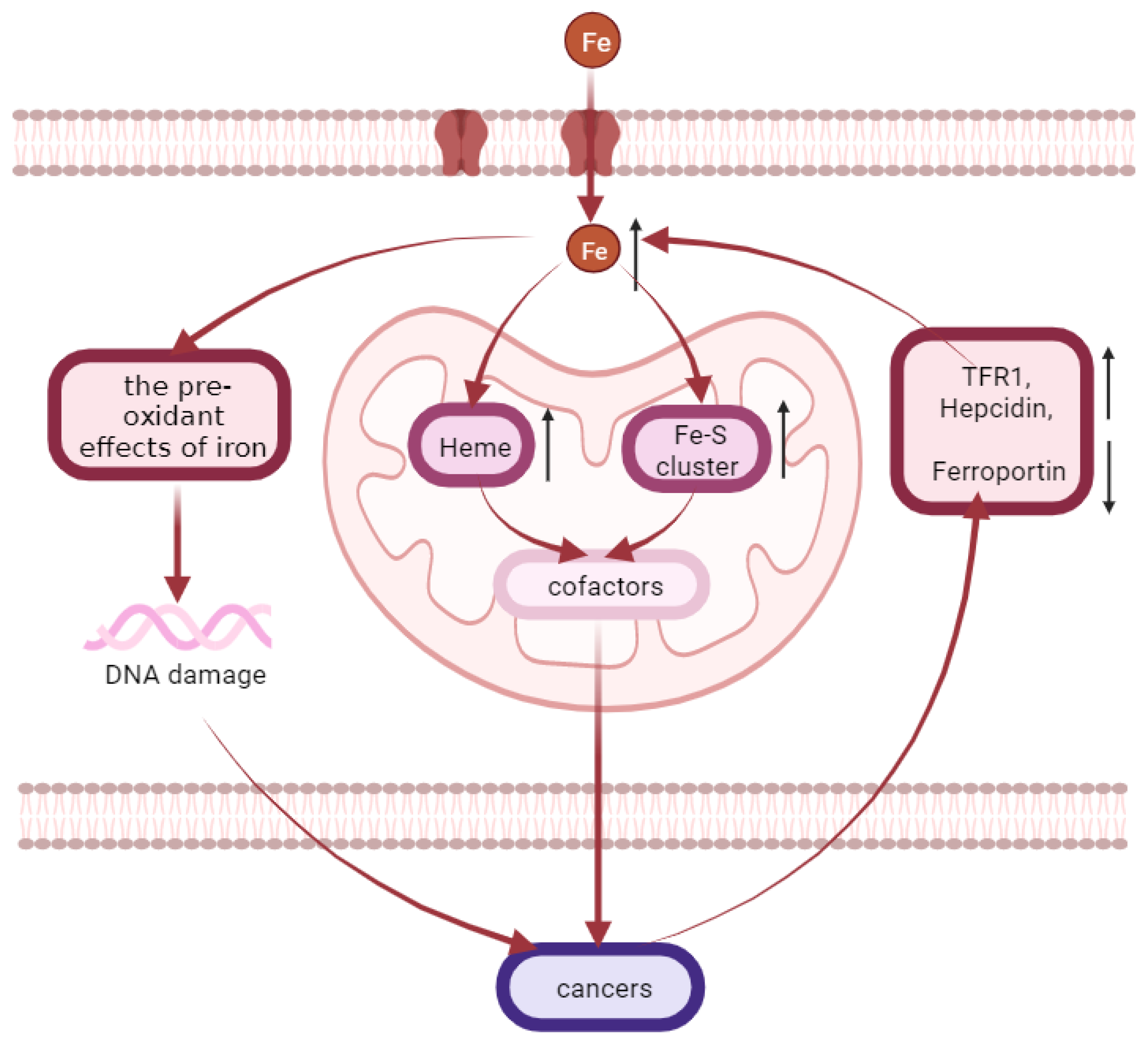Molecules 28 00029 g004 Molecules 28 00029 g004