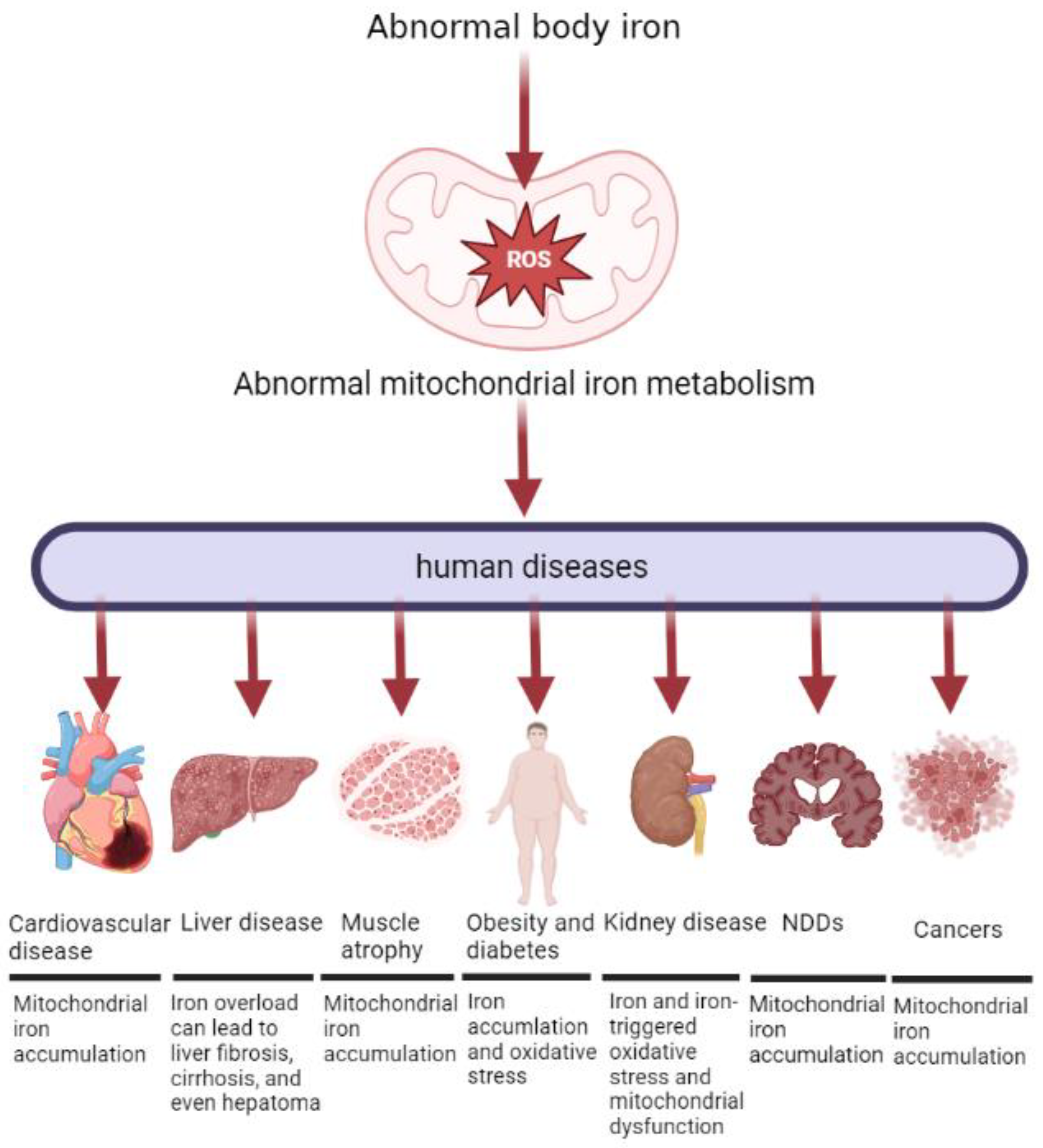 Molecules 28 00029 g005 Molecules 28 00029 g005