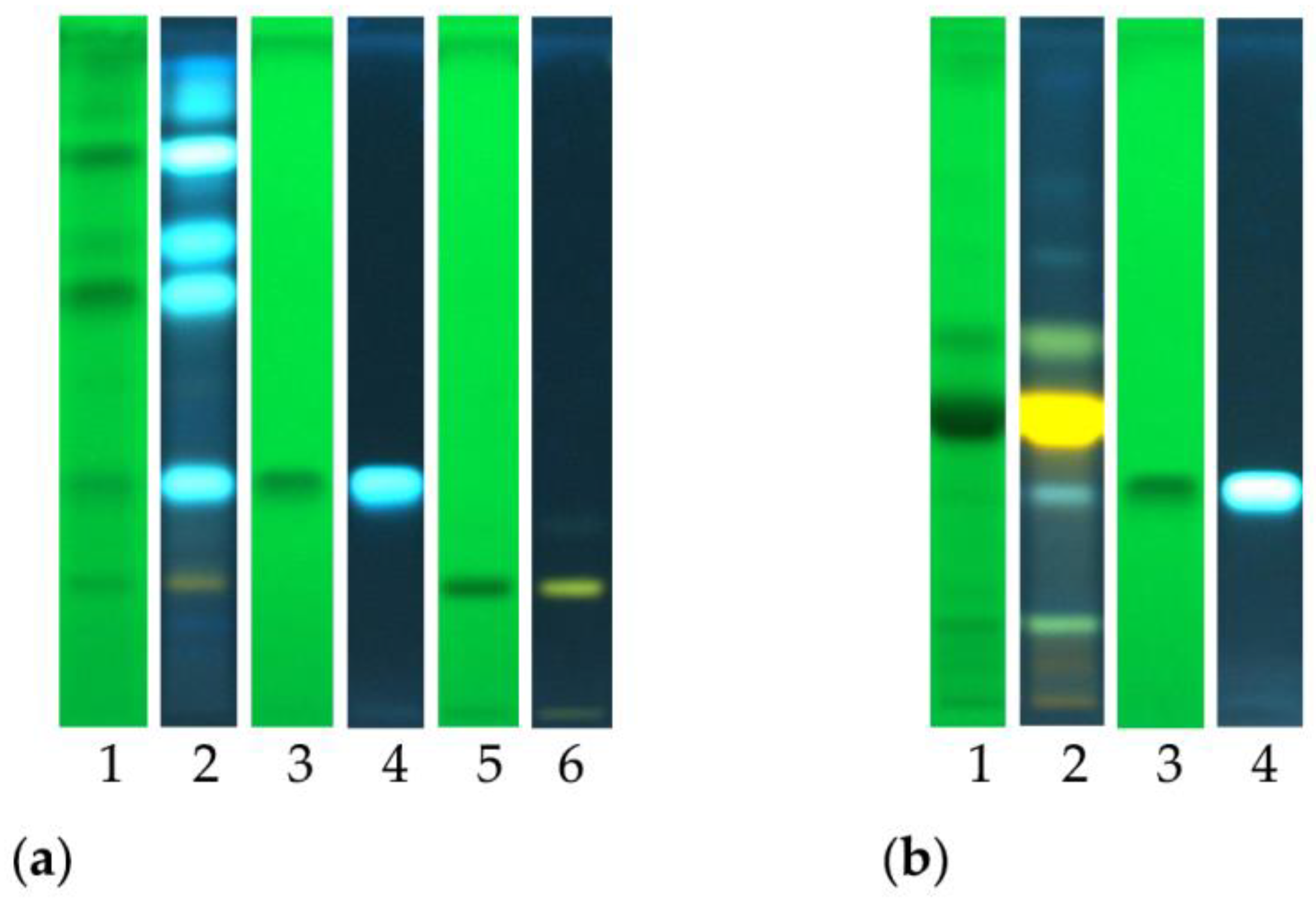 Molecules 28 00032 g002