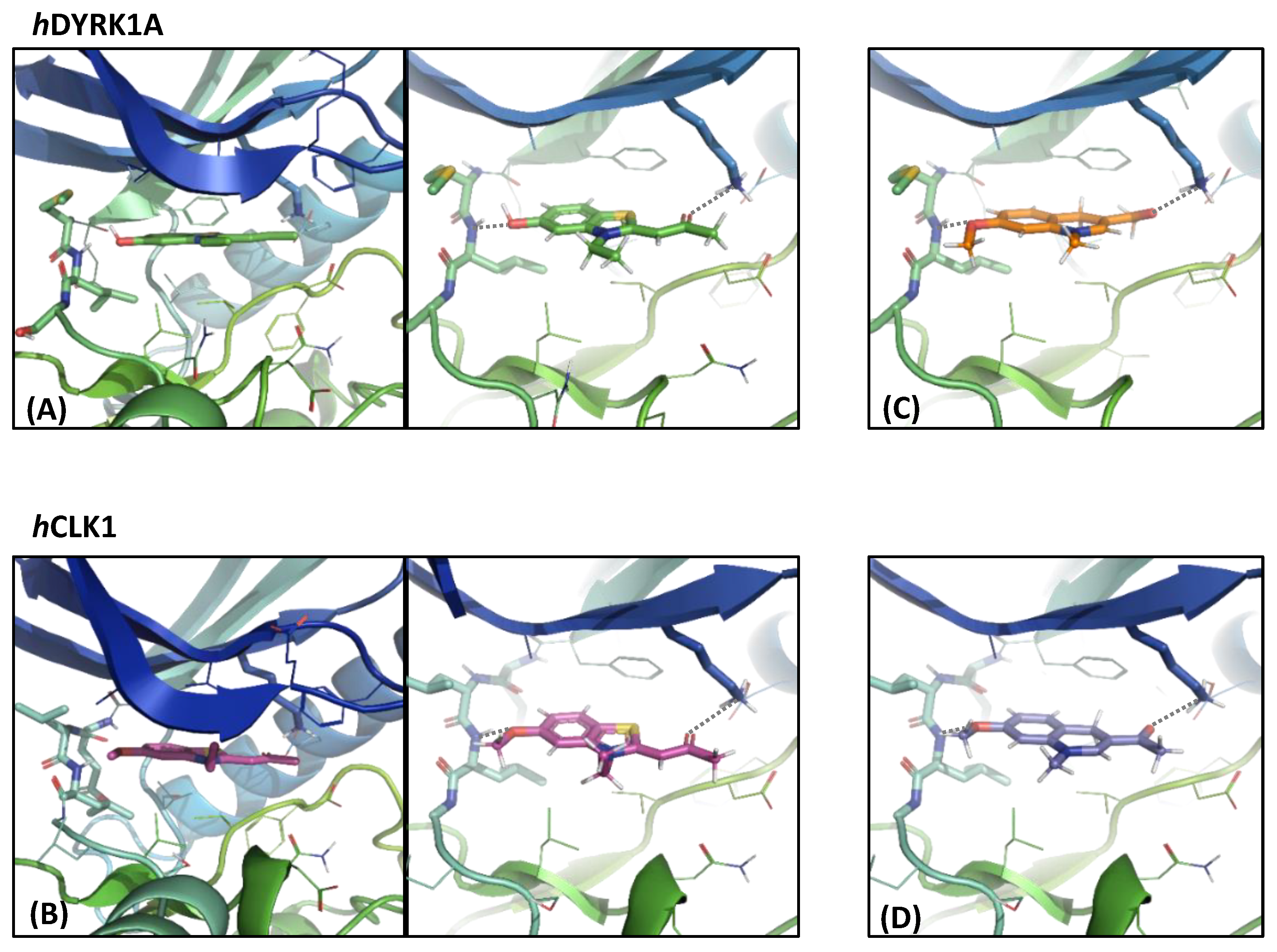 Molecules 28 00036 g003 Molecules 28 00036 g003