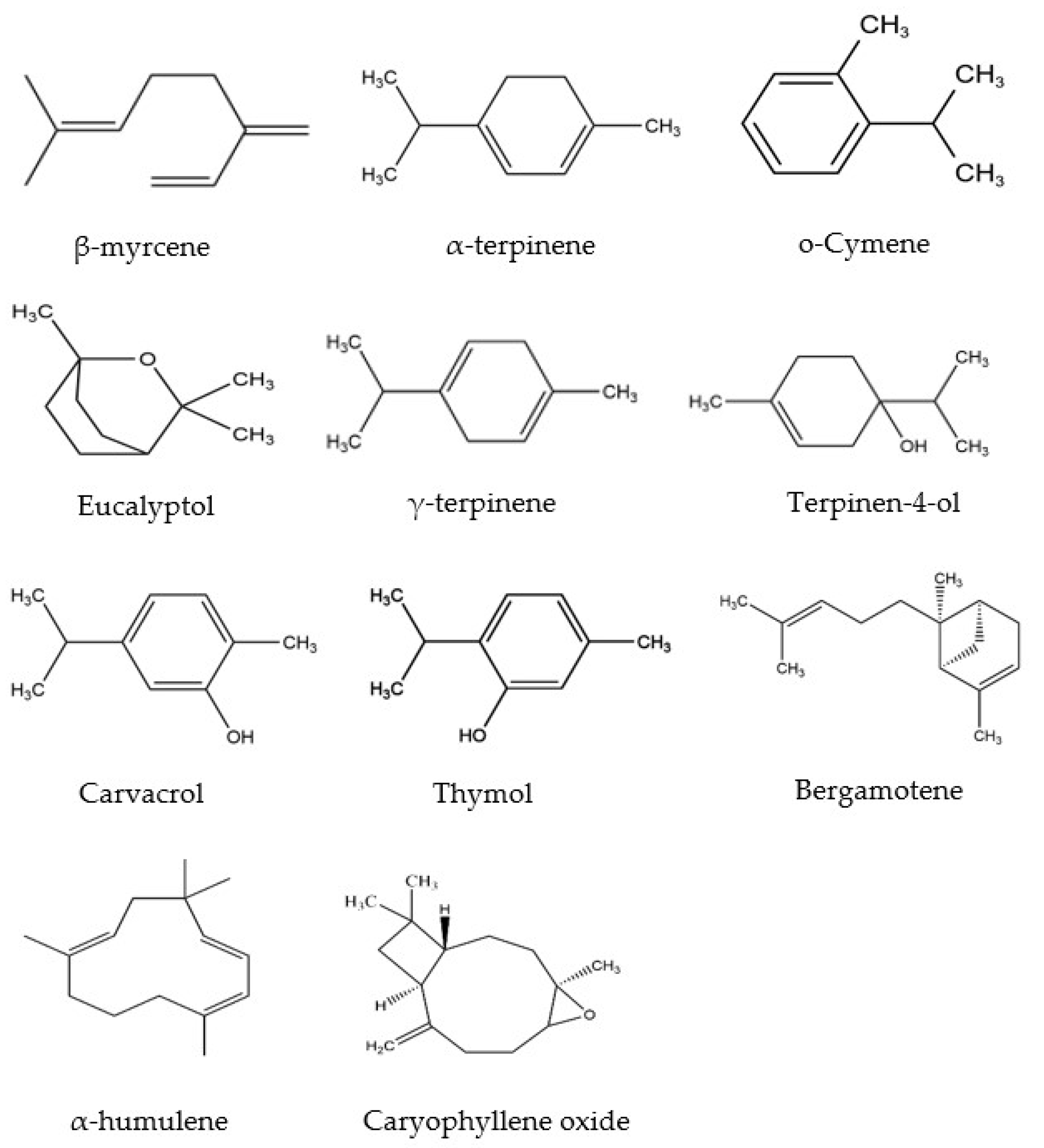 Molecules 28 00037 g001