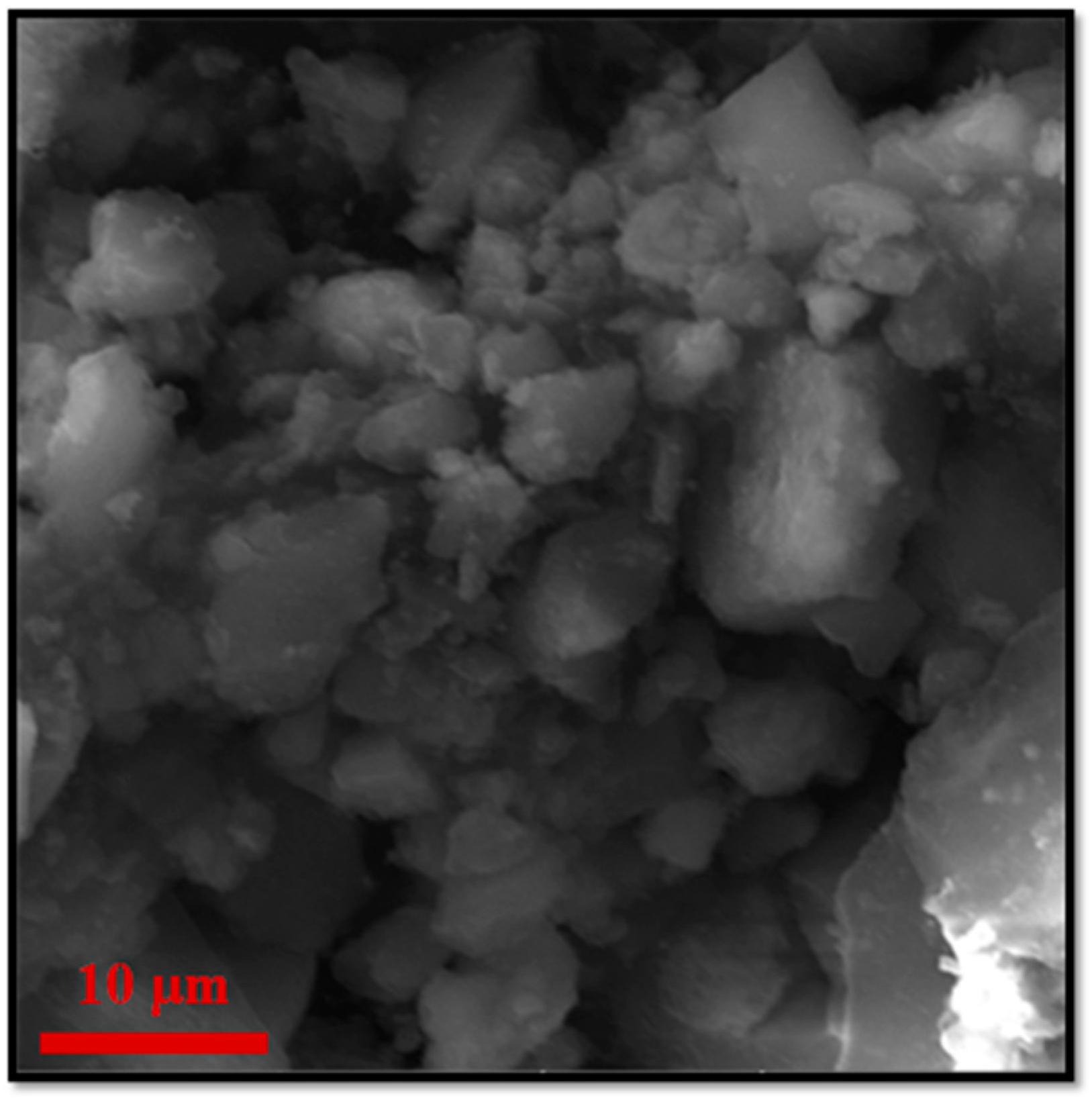 Molecules 28 00039 g006 Molecules 28 00039 g006