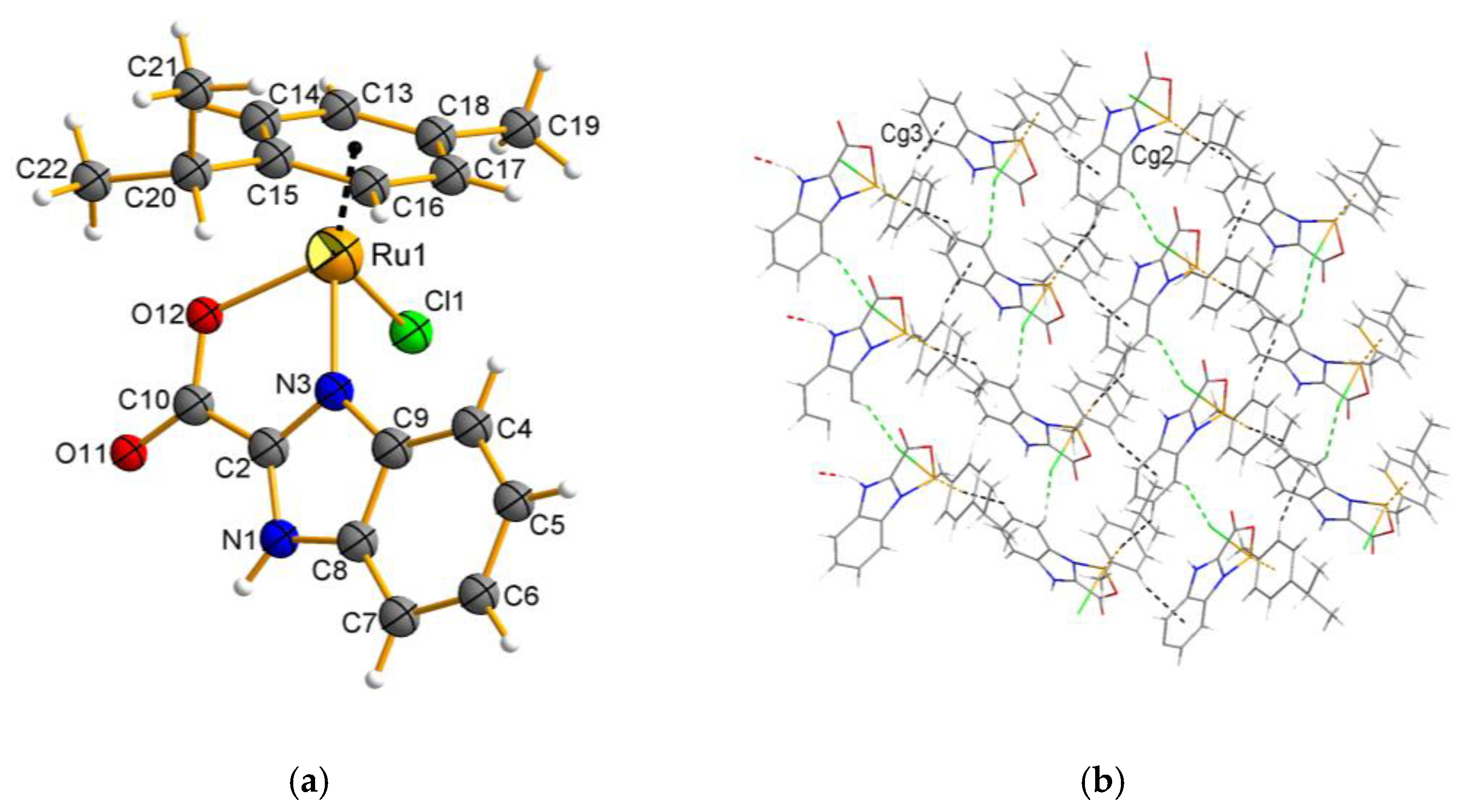 Molecules 28 00040 g001