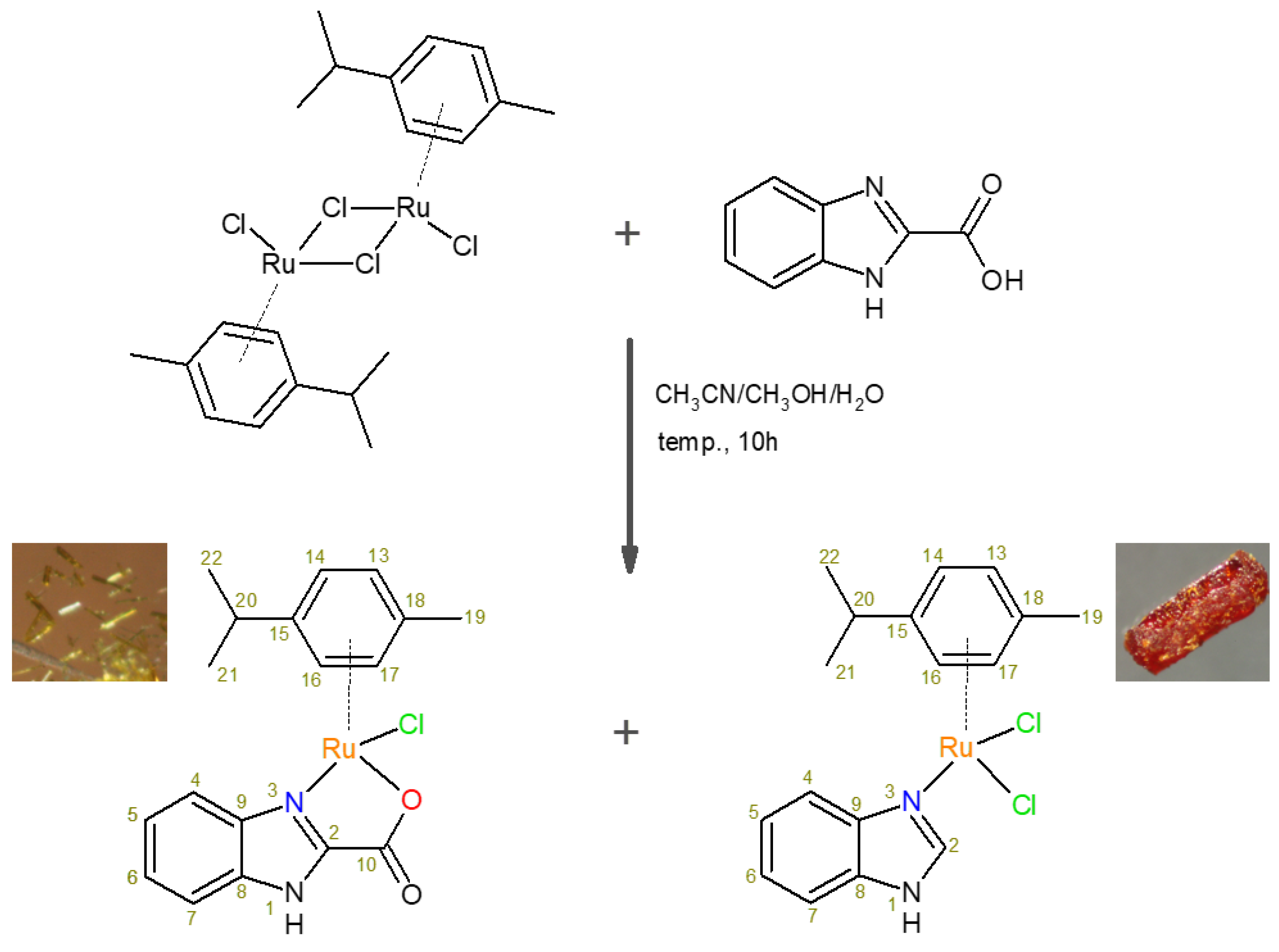 Molecules 28 00040 sch001