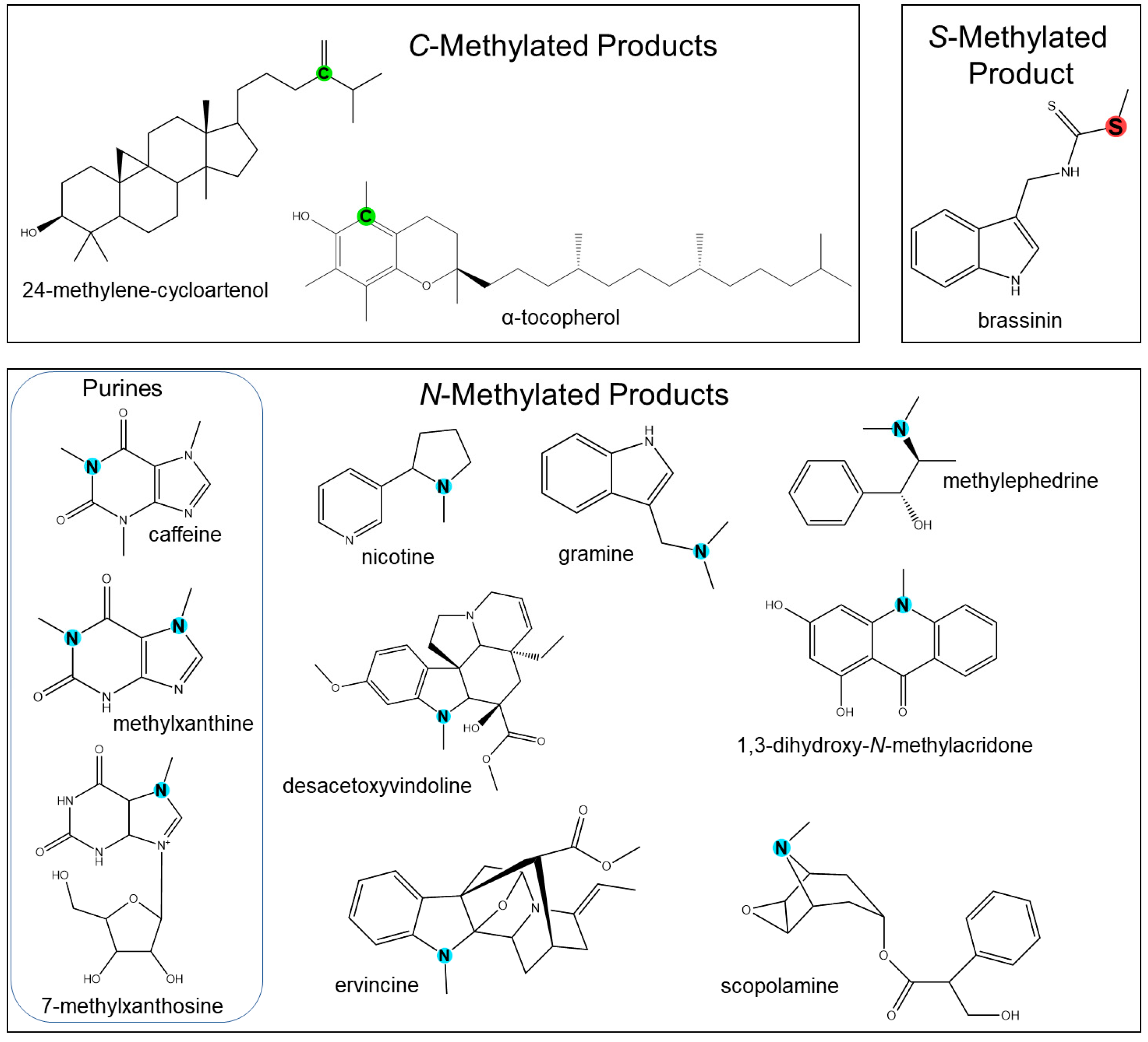 Molecules 28 00043 g002