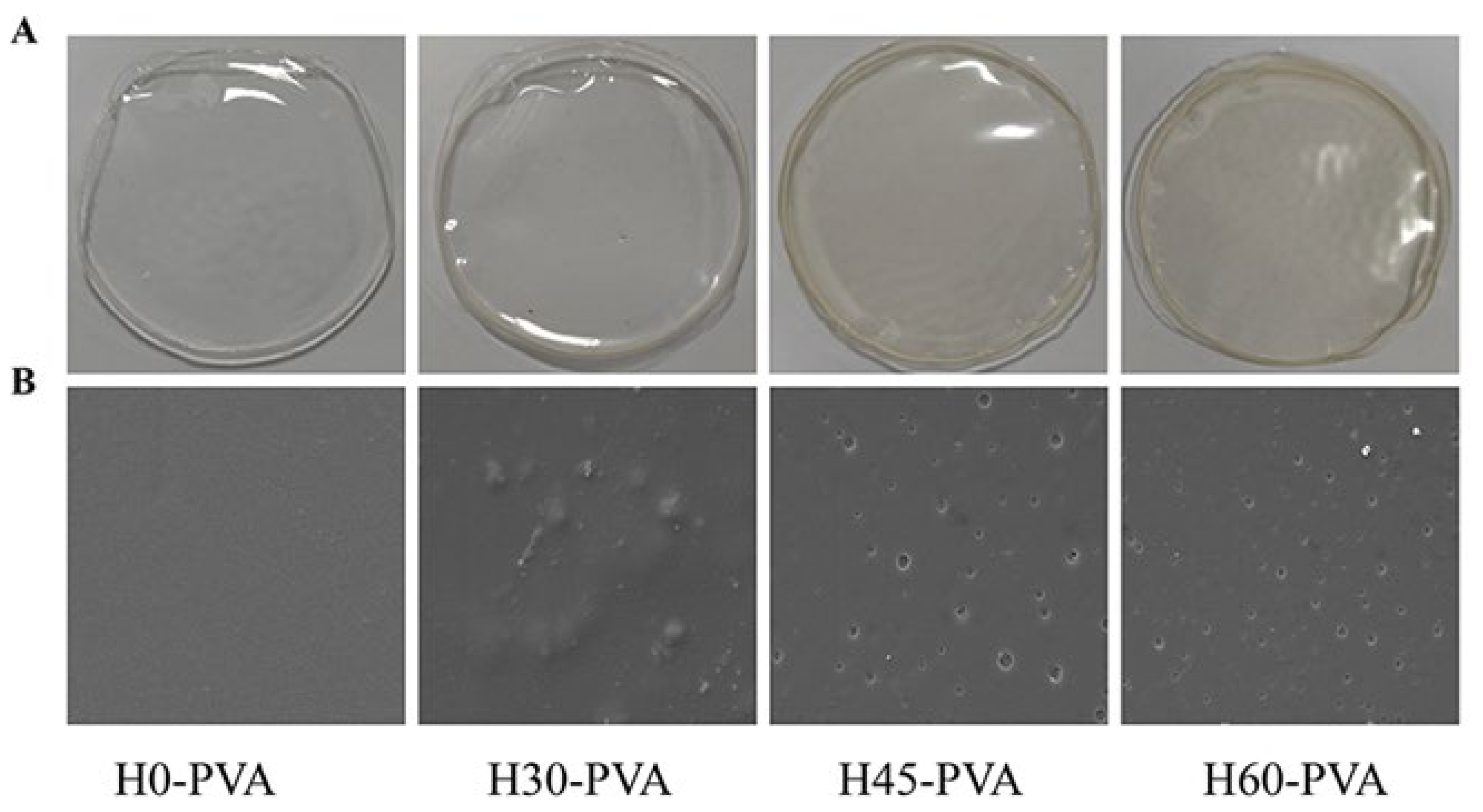 Molecules 28 00046 g004