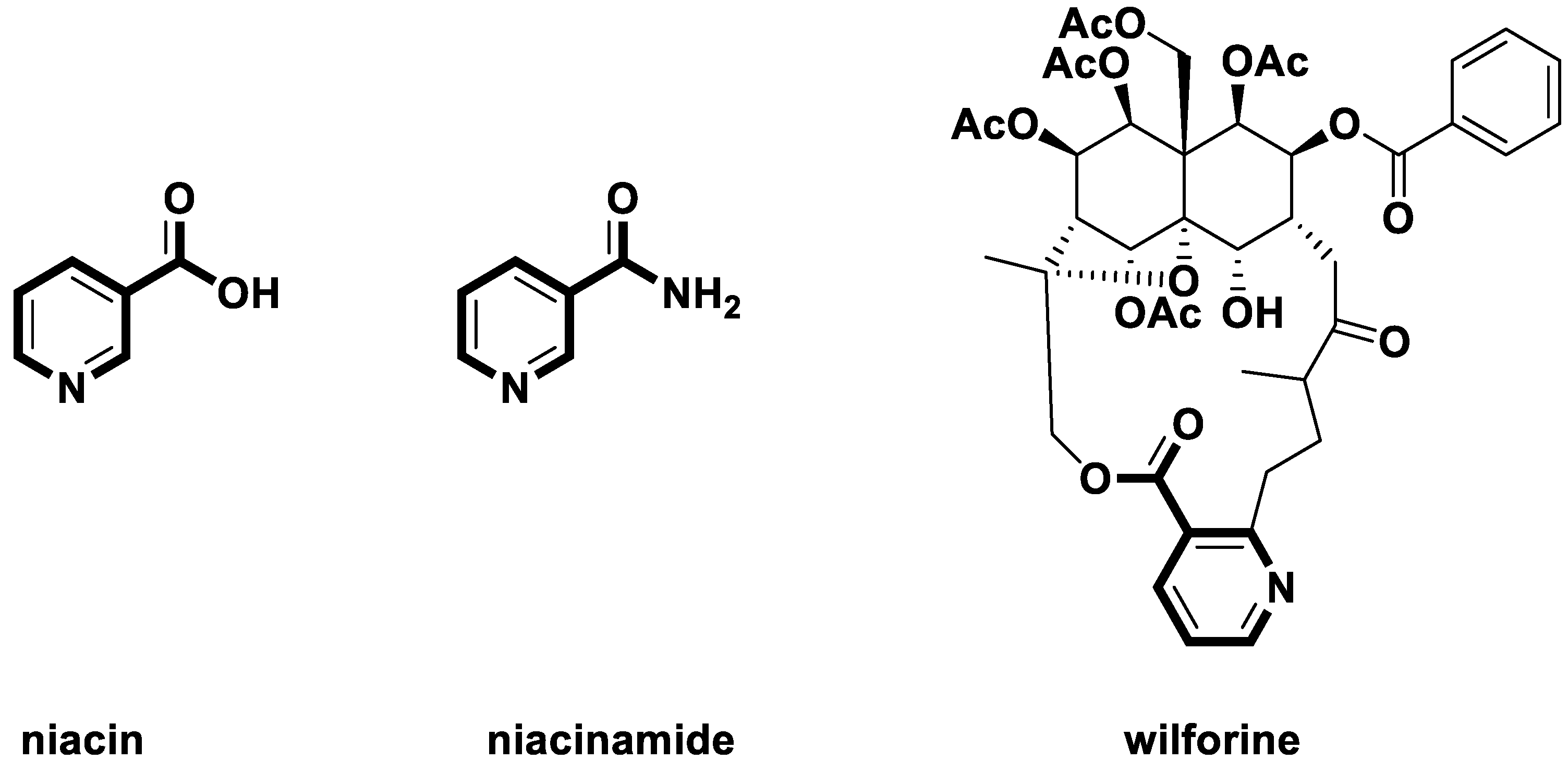 Molecules 28 00047 g001
