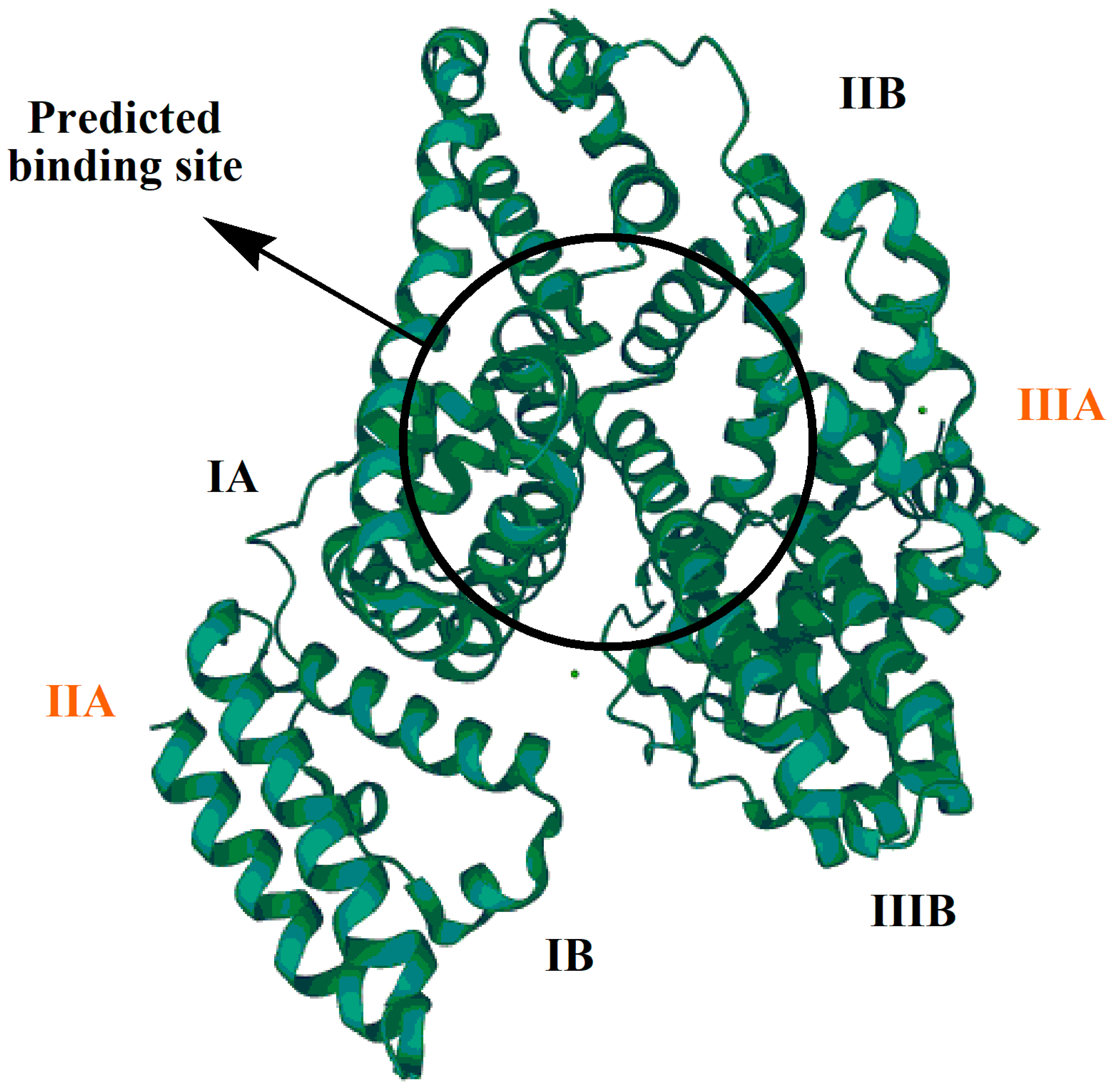 Molecules 28 00049 g001