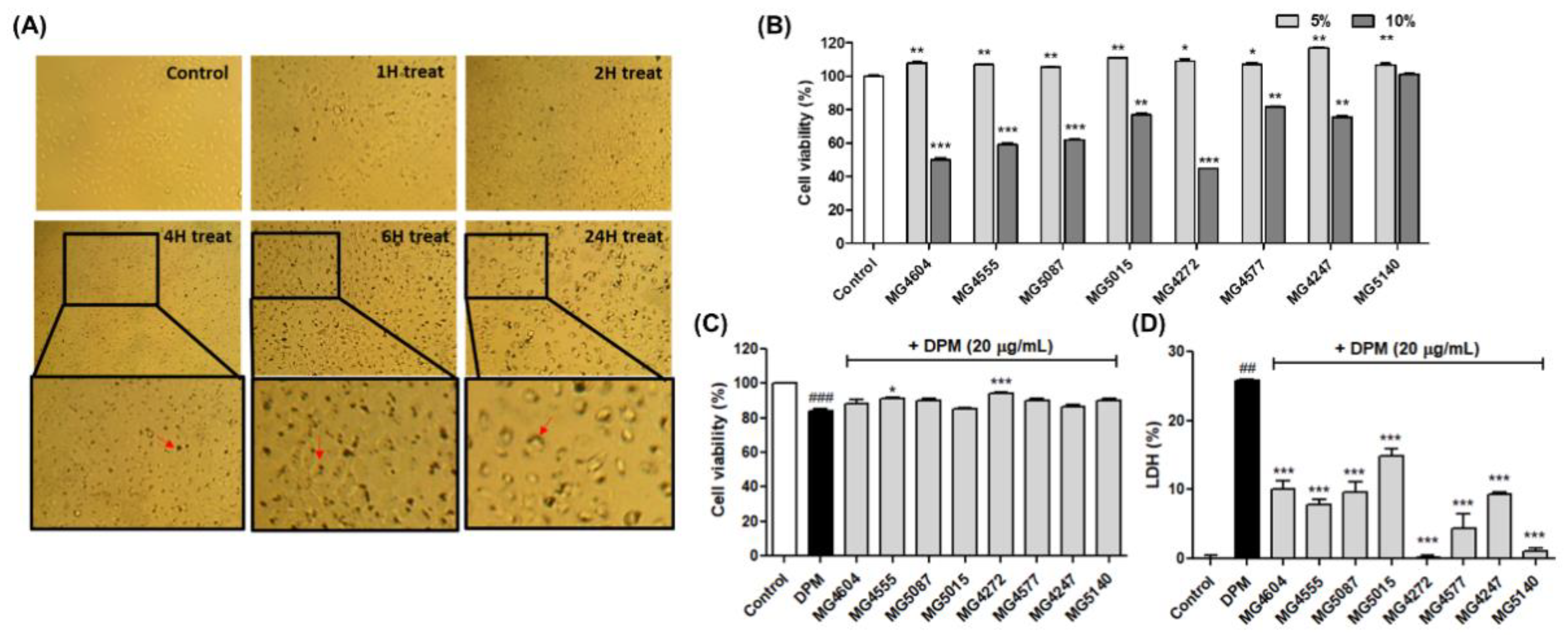 Molecules 28 00061 g002