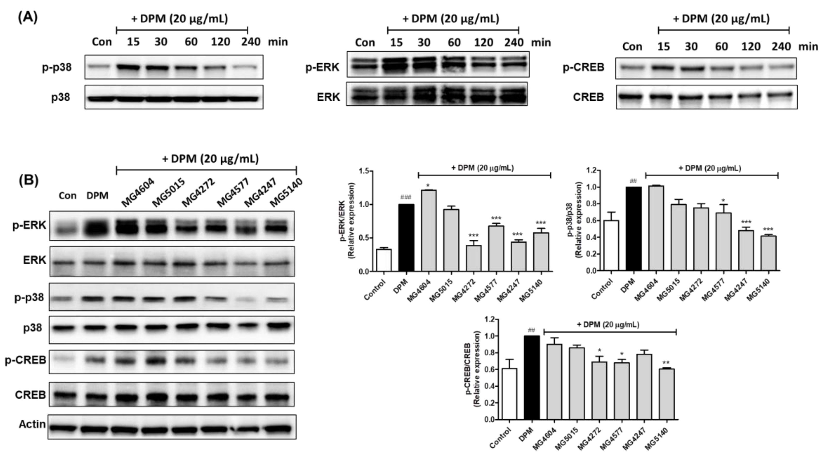 Molecules 28 00061 g004