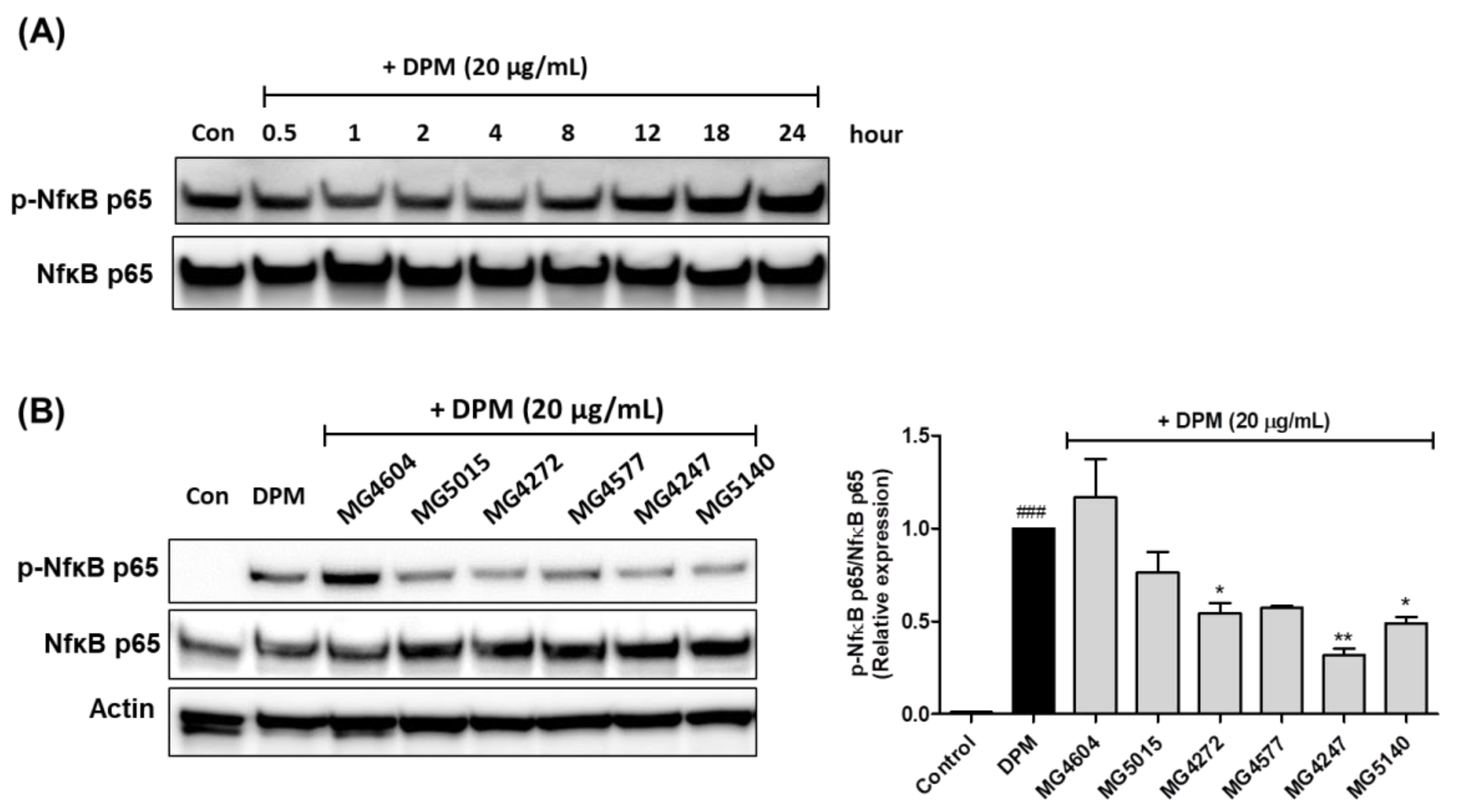 Molecules 28 00061 g005