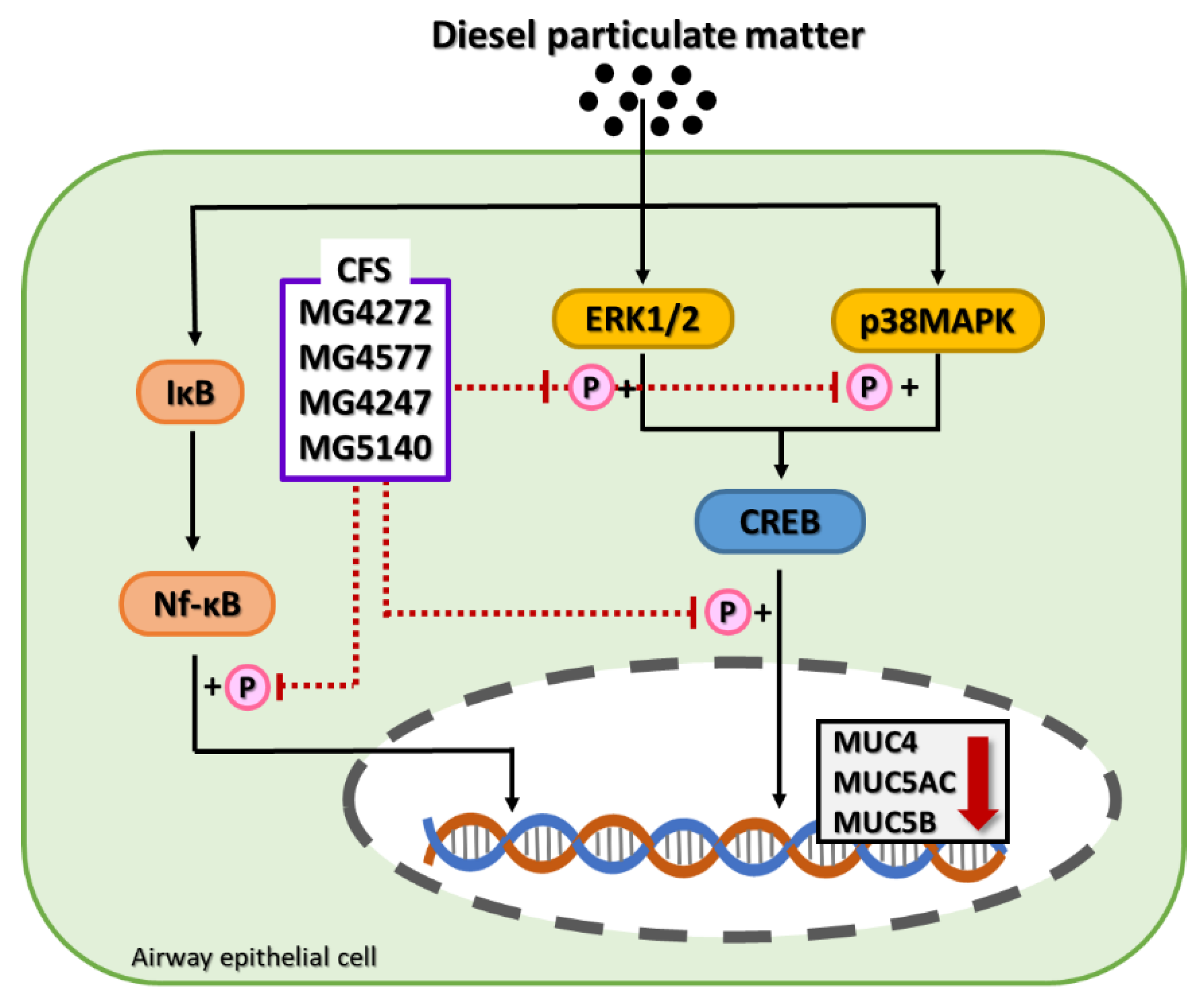 Molecules 28 00061 g006