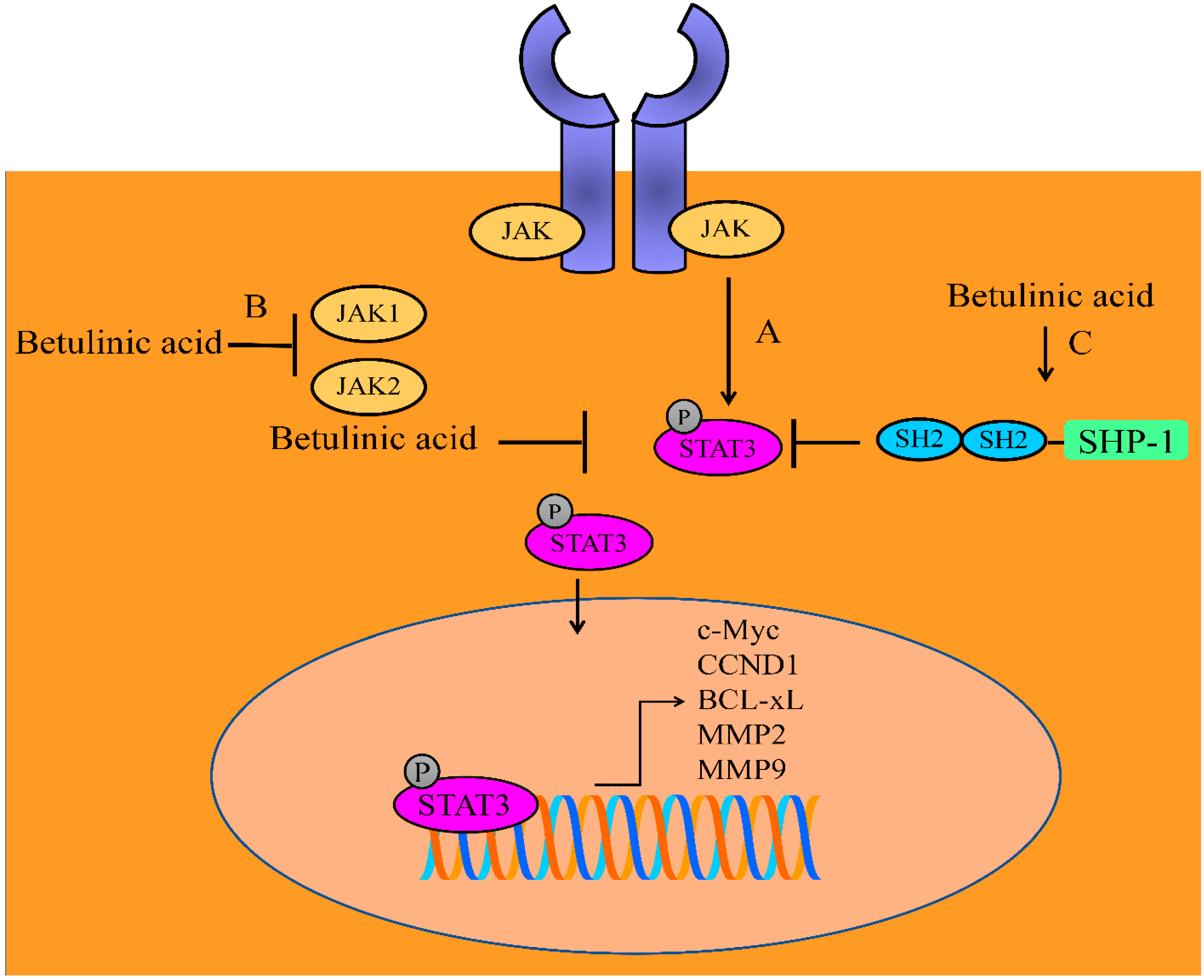 Molecules 28 00067 g001