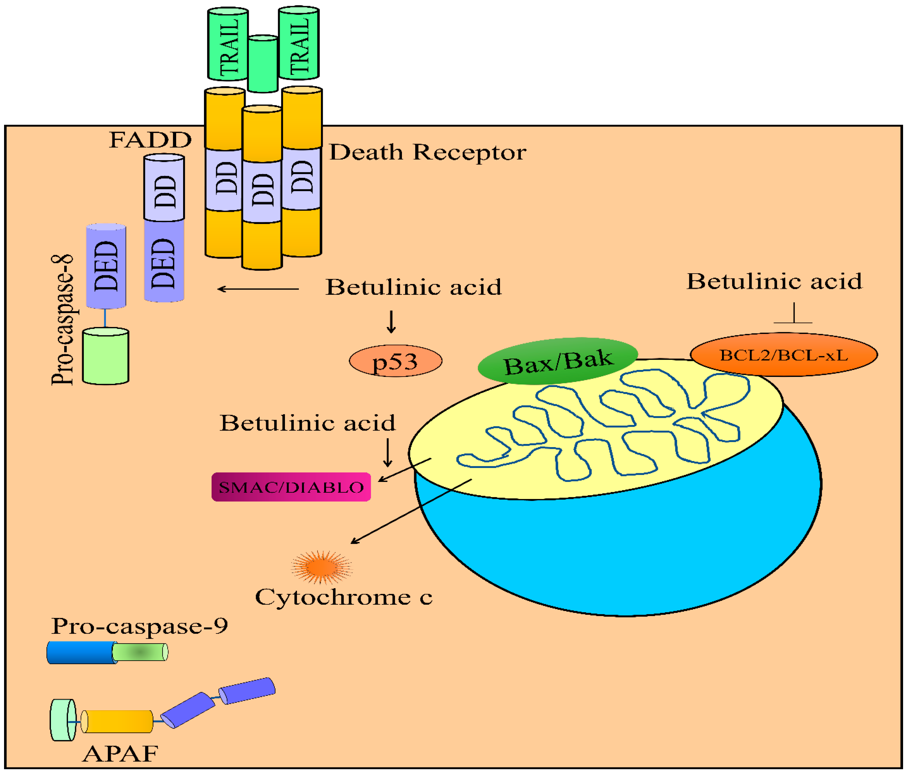 Molecules 28 00067 g003