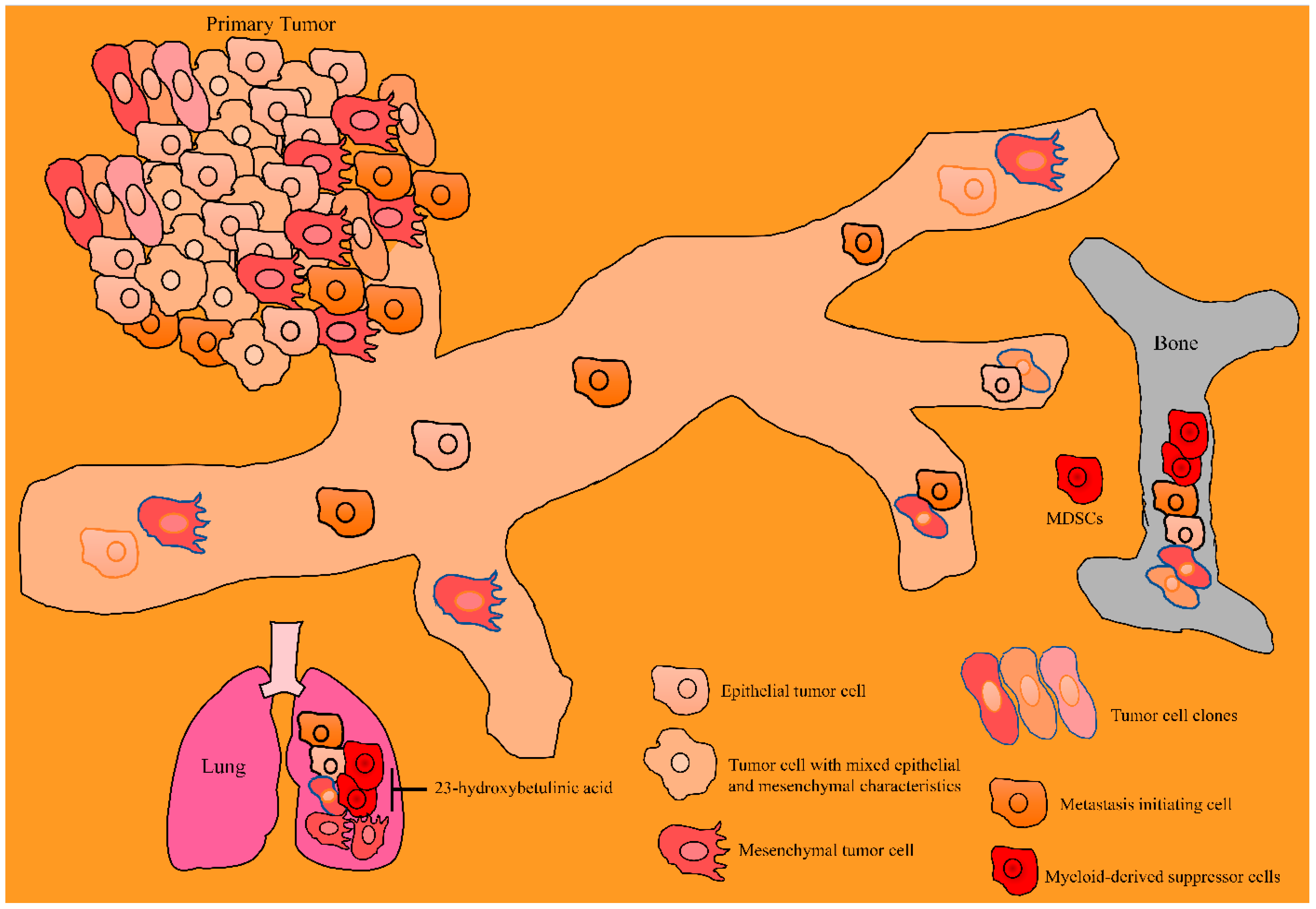 Molecules 28 00067 g004
