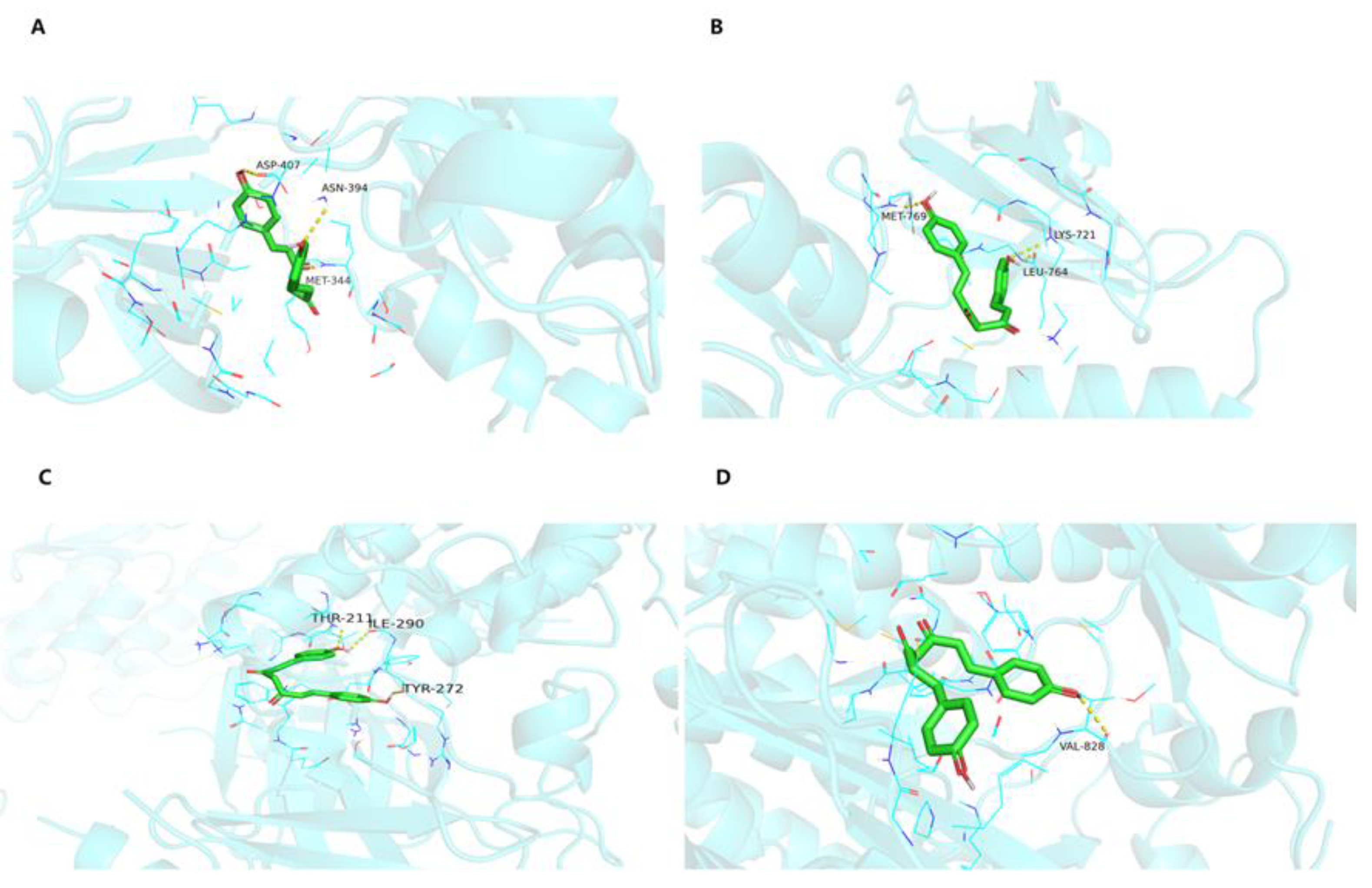 Molecules 28 00068 g005 Molecules 28 00068 g005