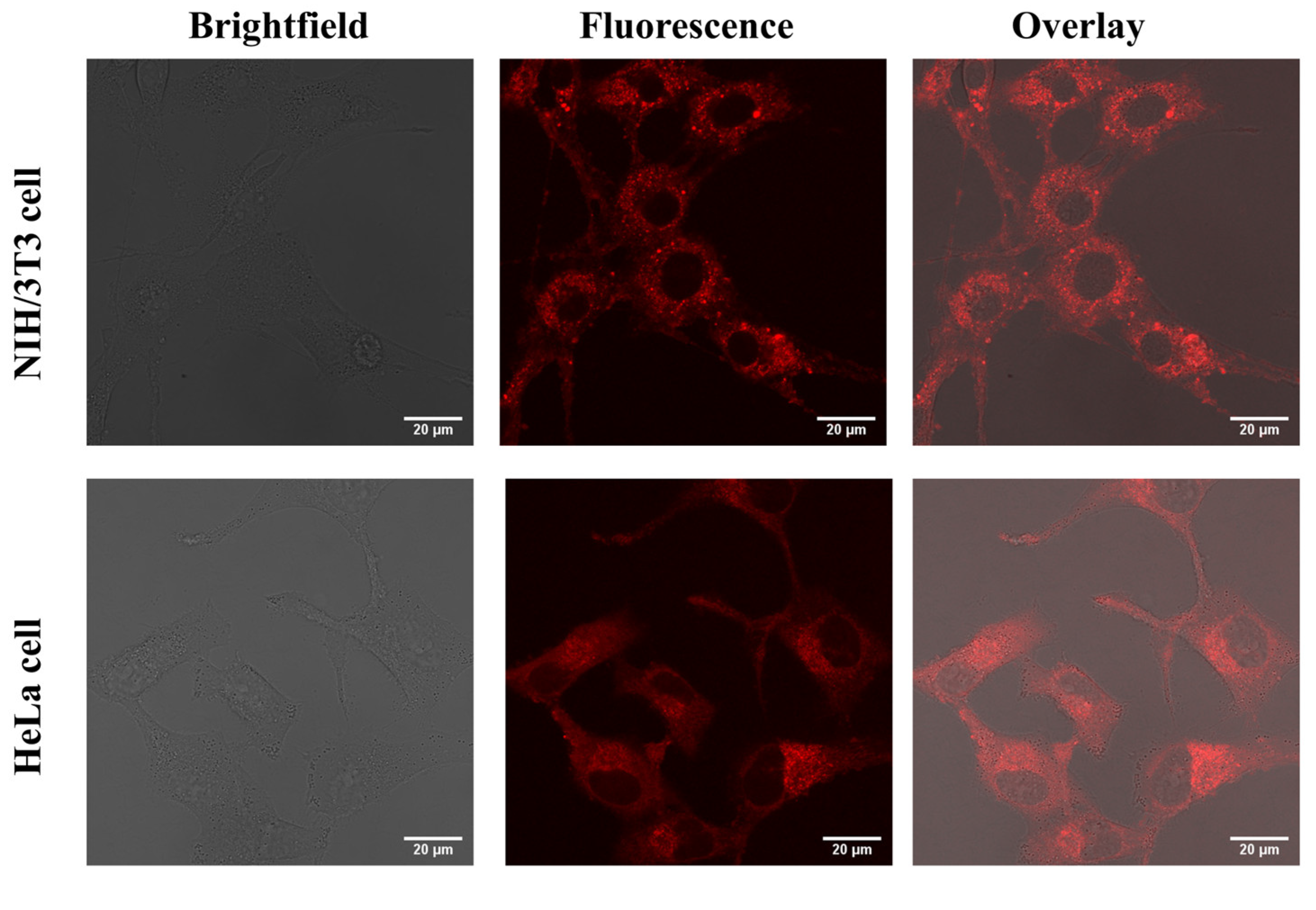 Molecules 28 00070 g007