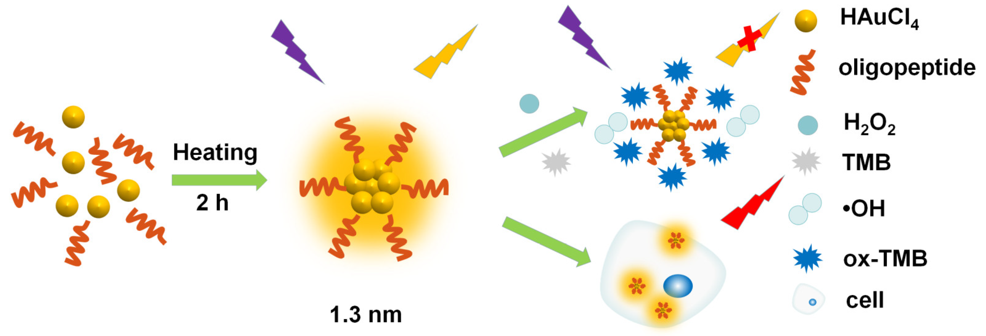 Molecules 28 00070 sch001