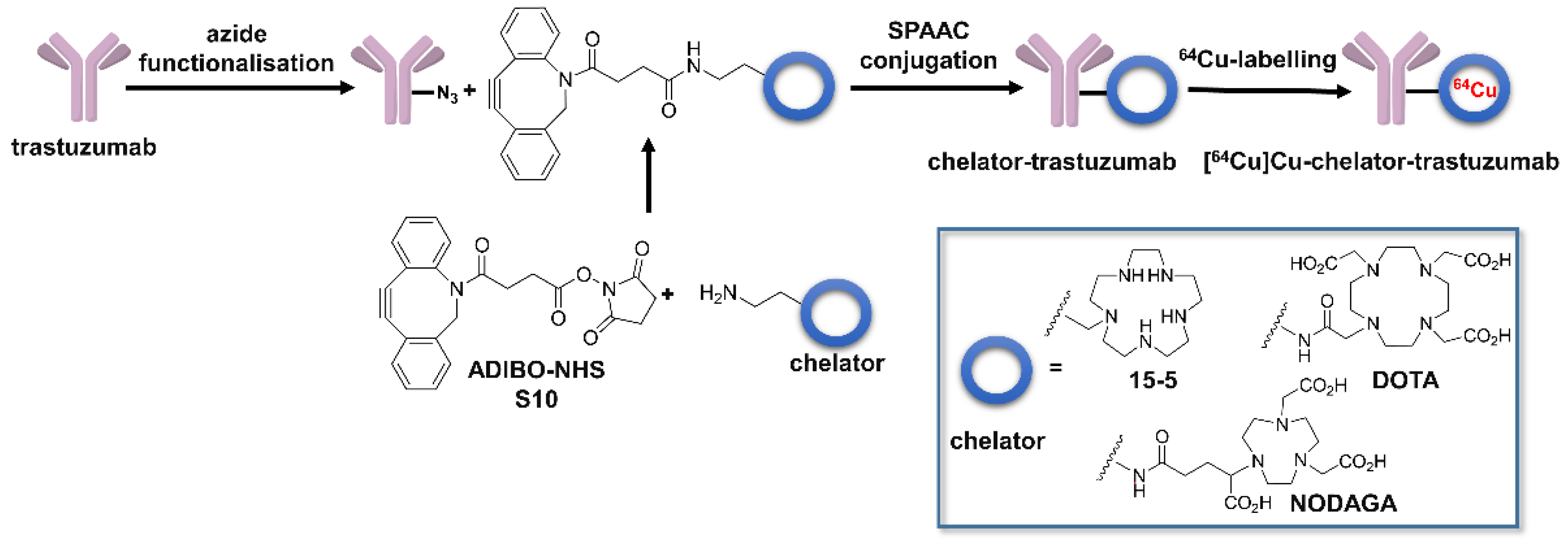 Molecules 28 00075 g002 Molecules 28 00075 g002