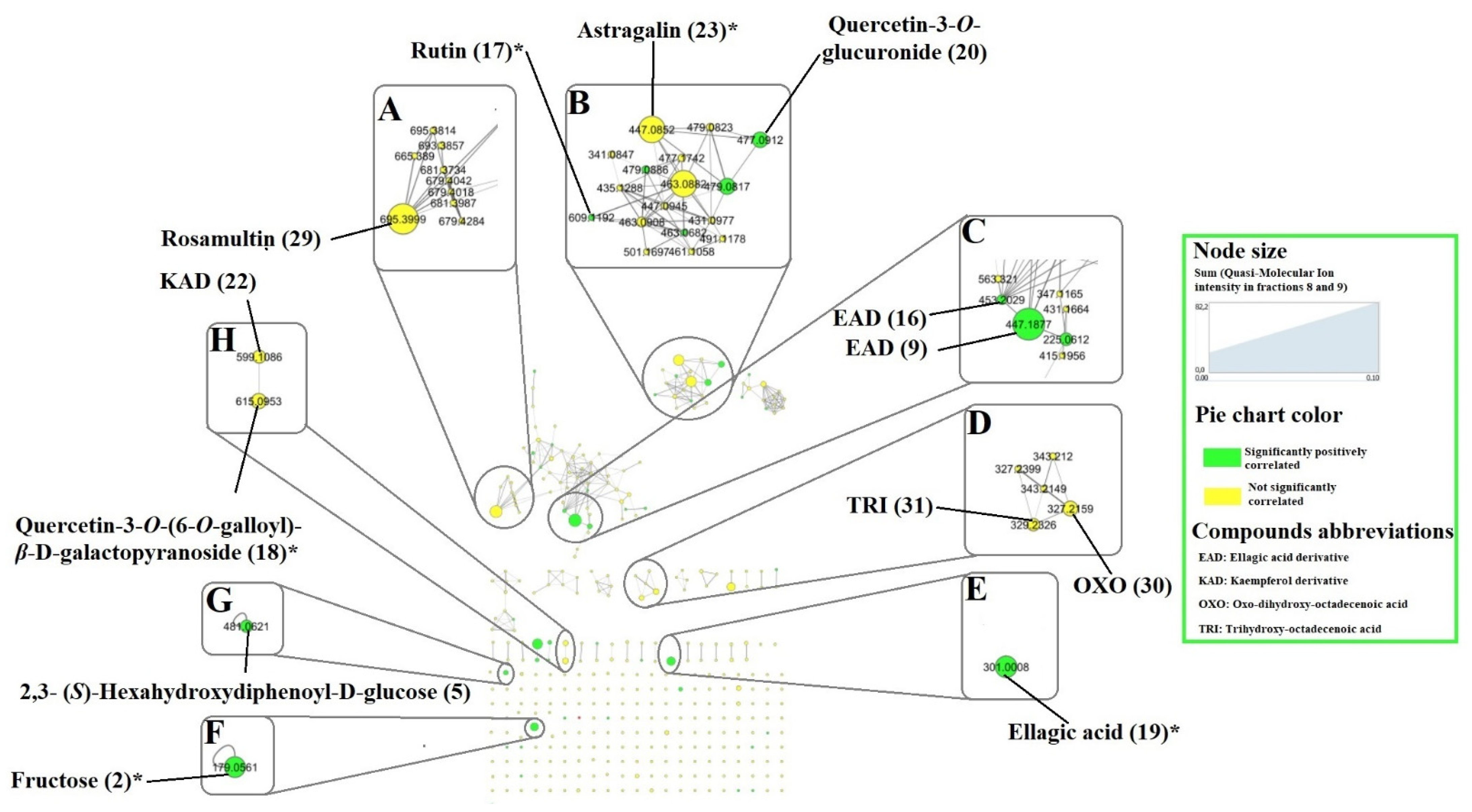 Molecules 28 00076 g004