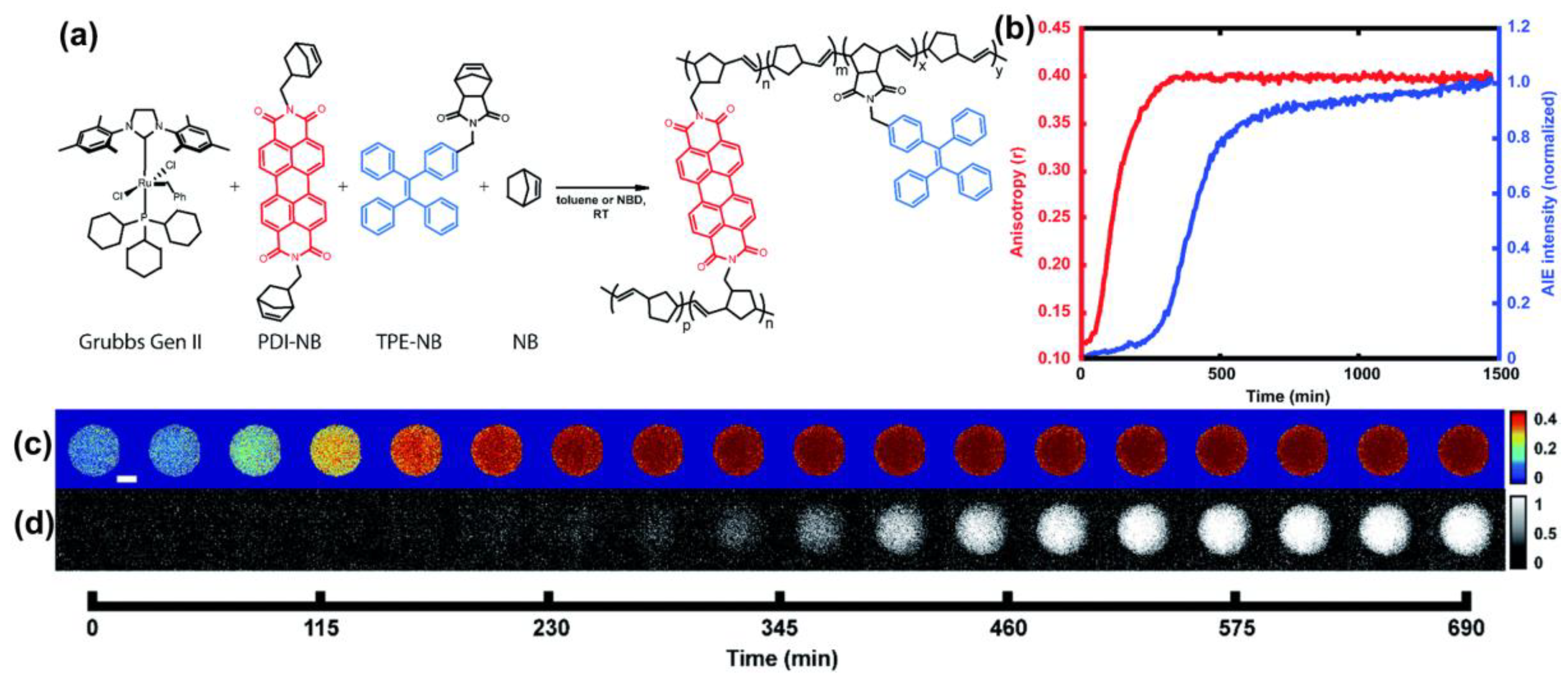 Molecules 28 00078 g005