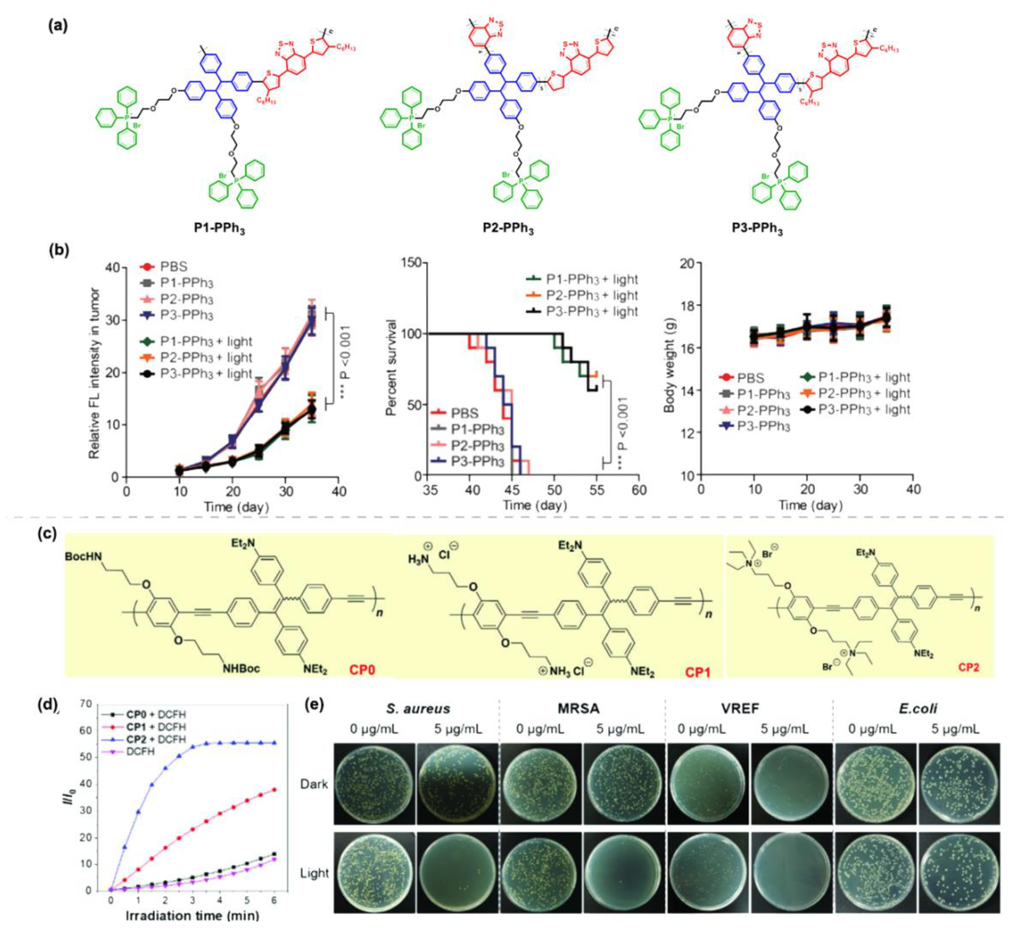 Molecules 28 00078 g012