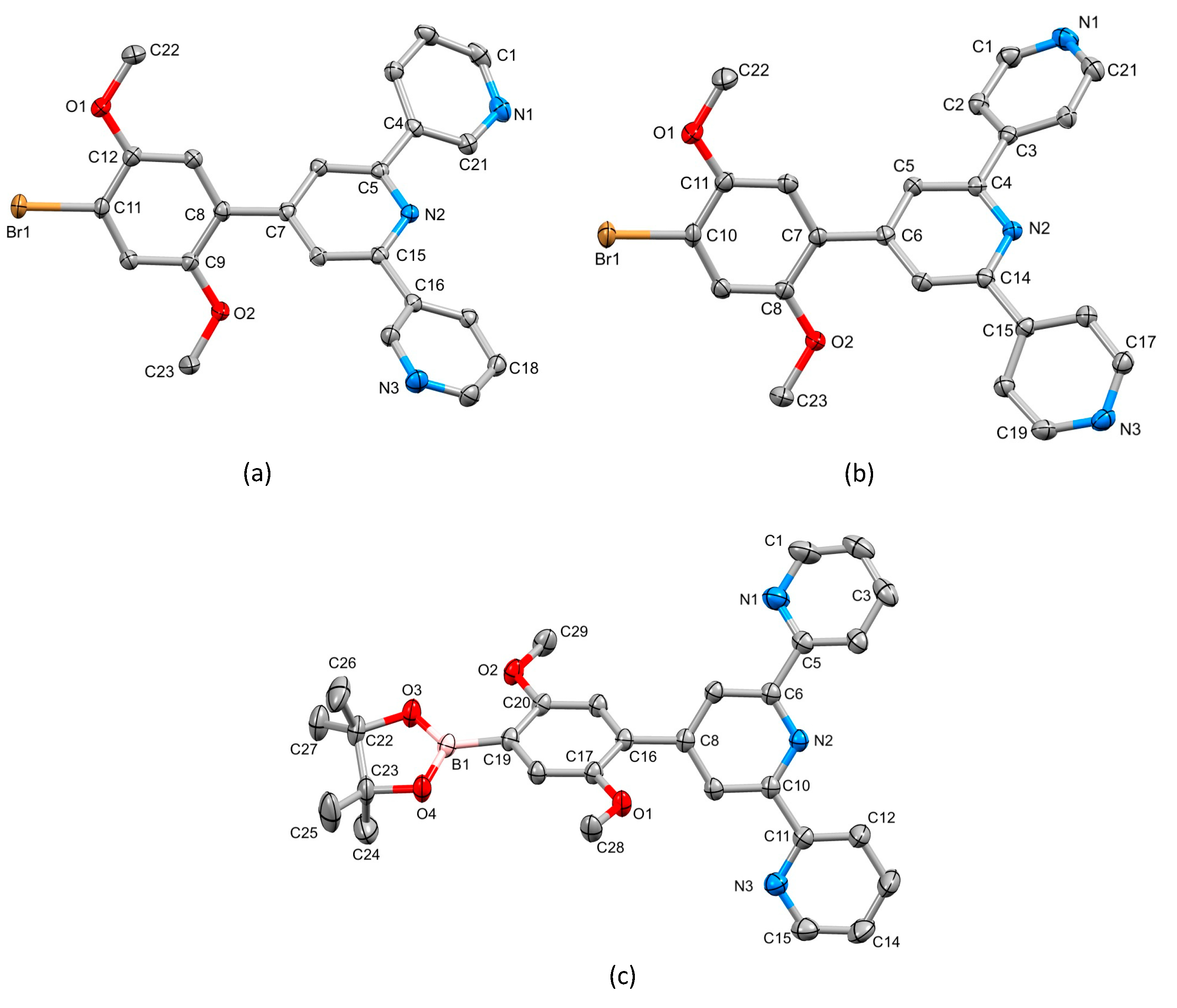 Molecules 28 00082 g004