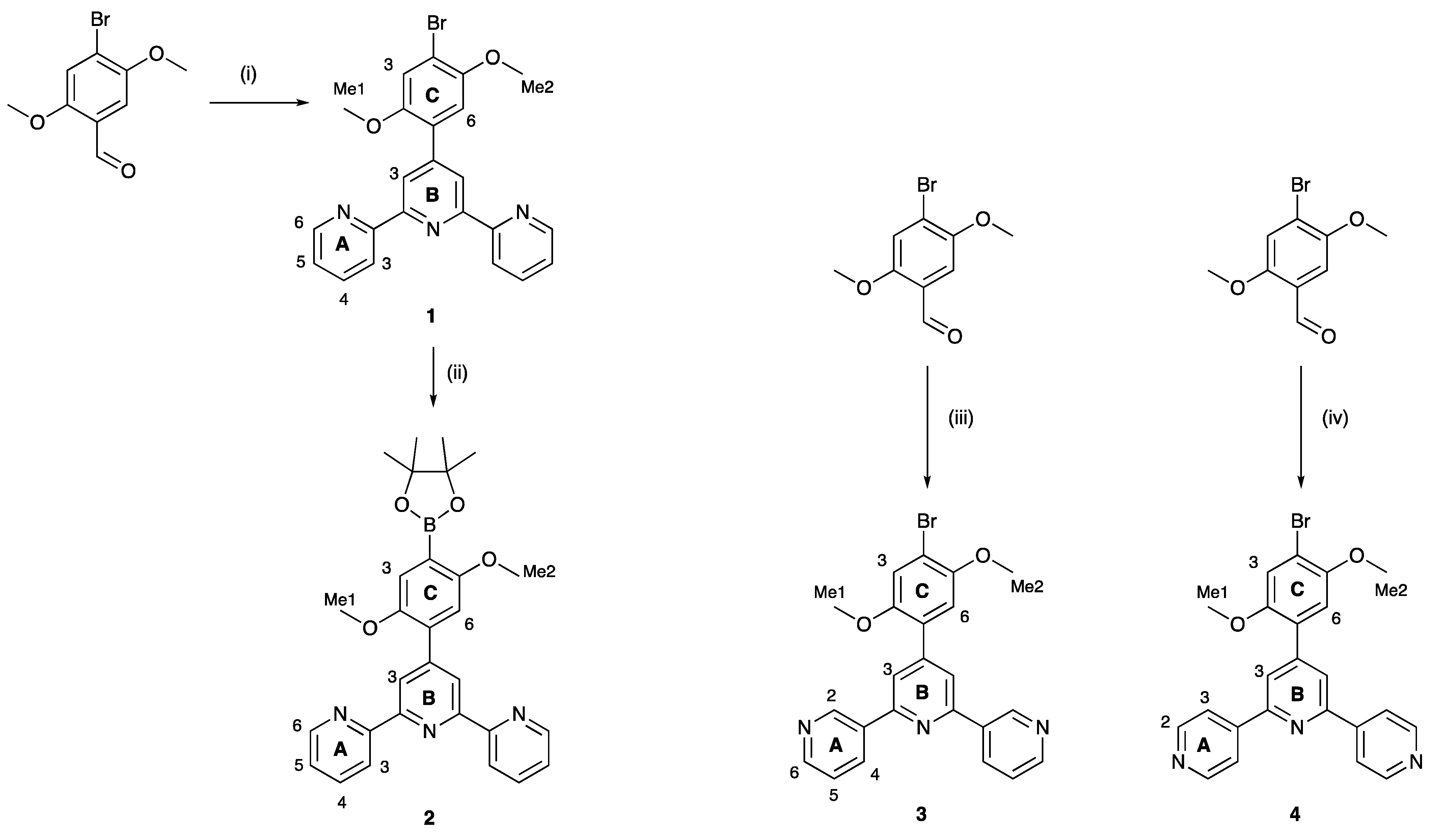Molecules 28 00082 sch003