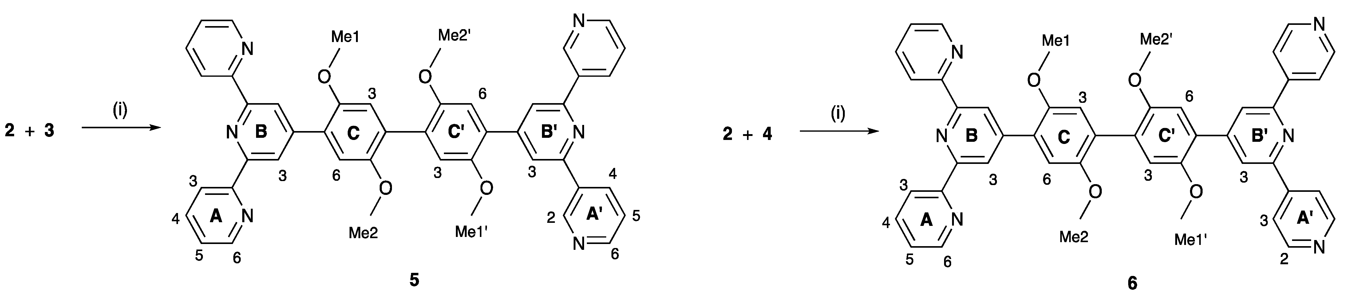 Molecules 28 00082 sch006