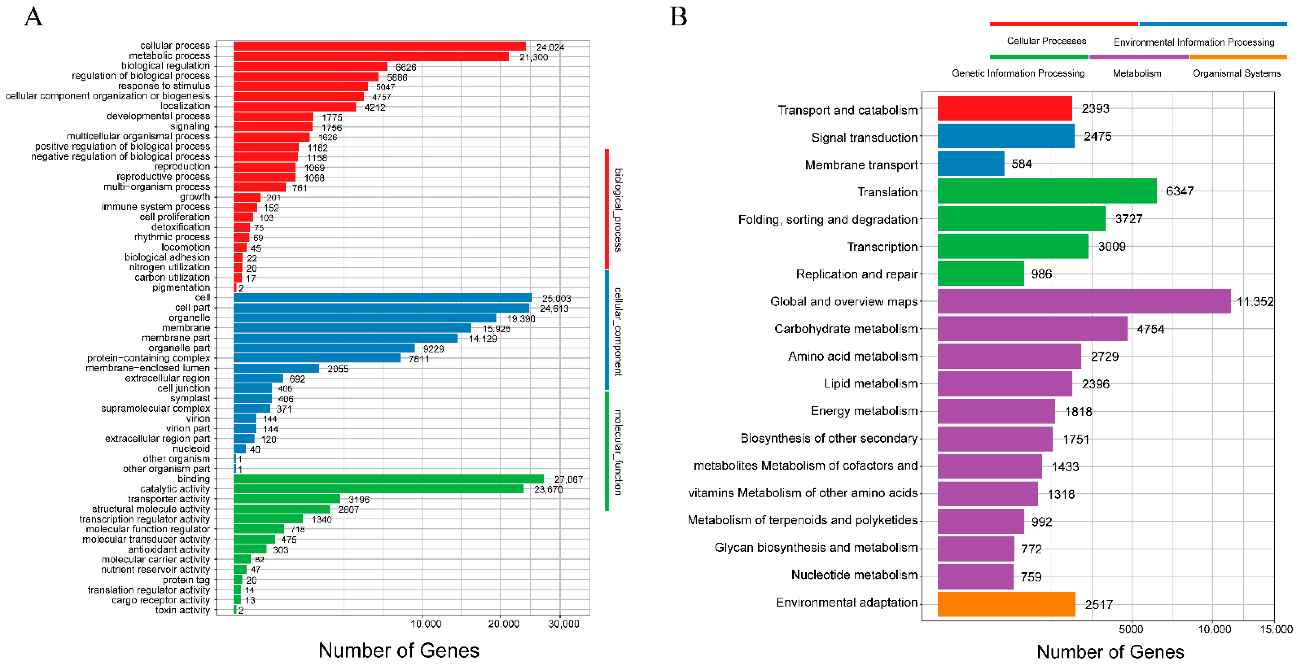 Molecules 28 00083 g003