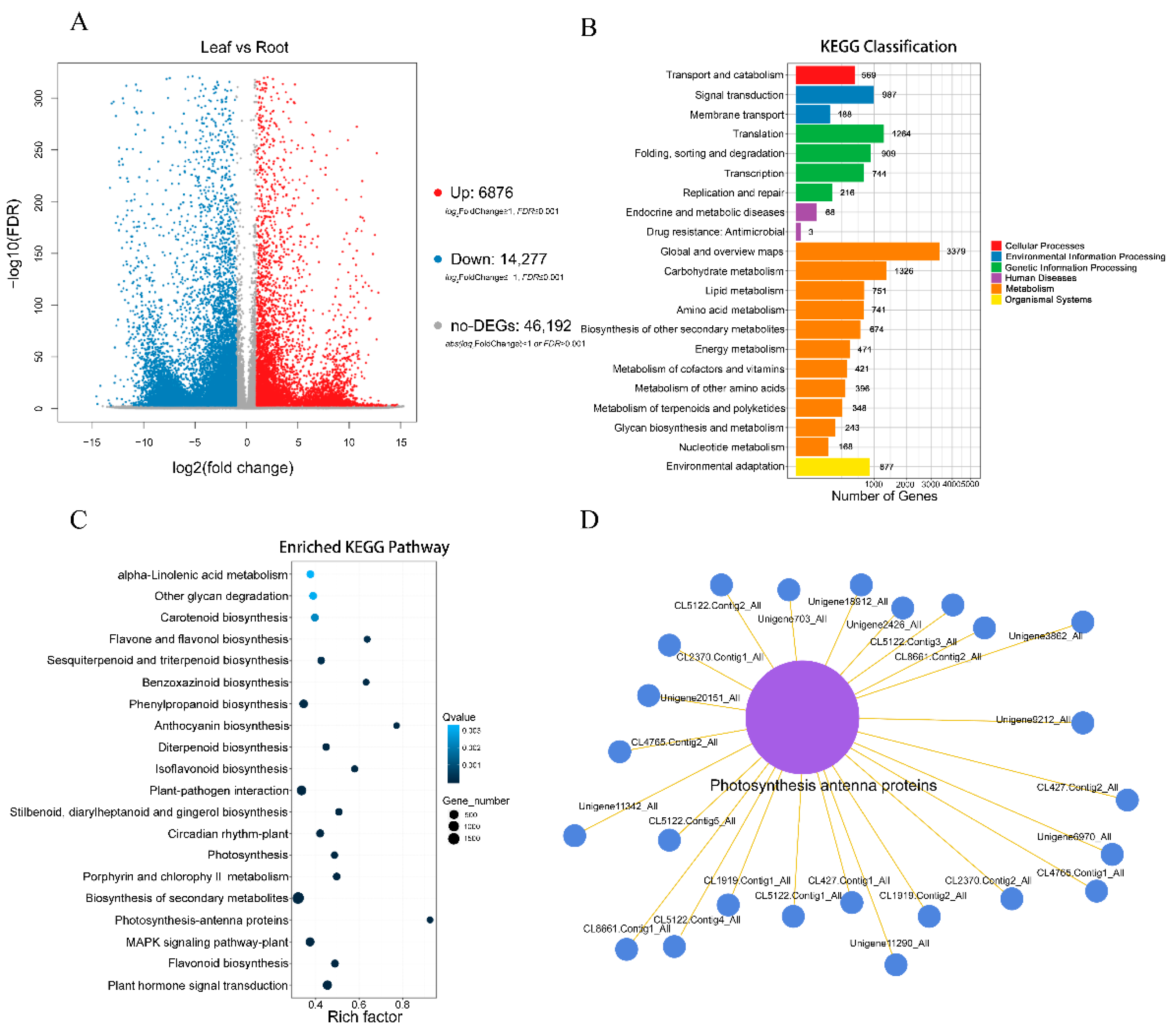 Molecules 28 00083 g004