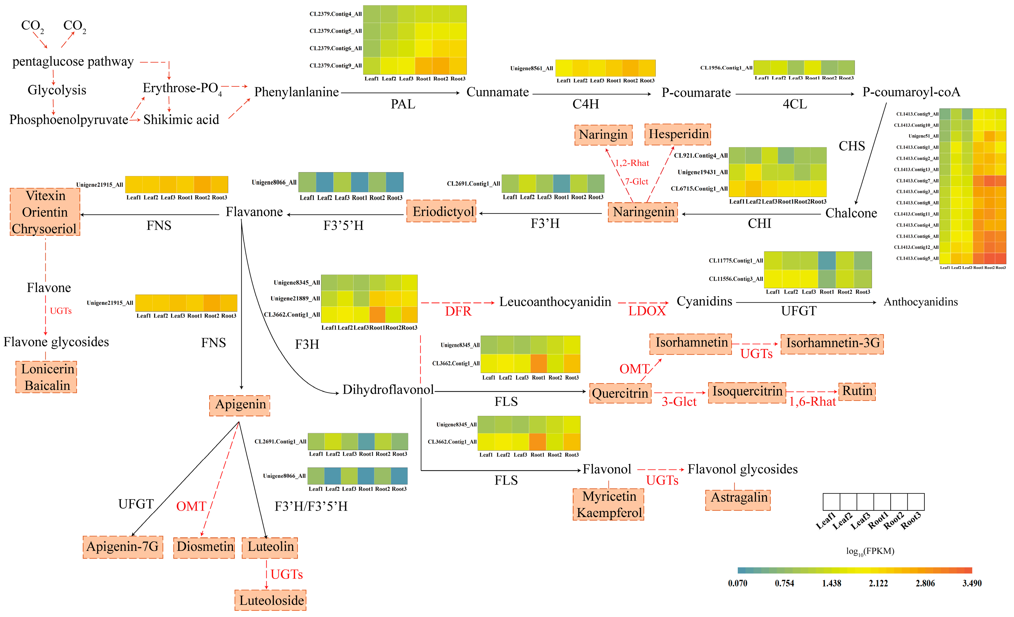 Molecules 28 00083 g006