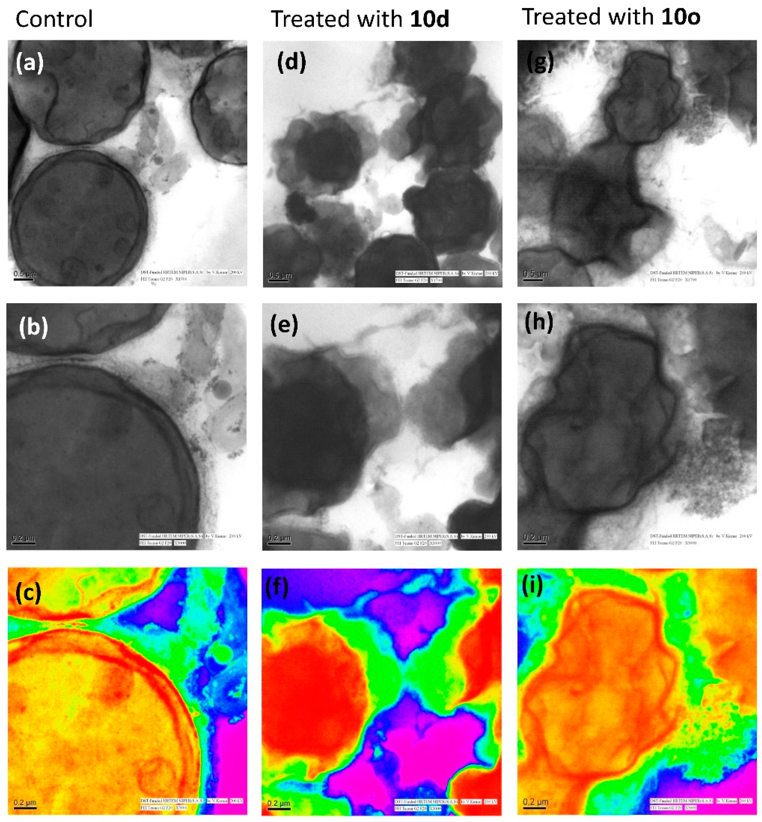 Molecules 28 00087 g007